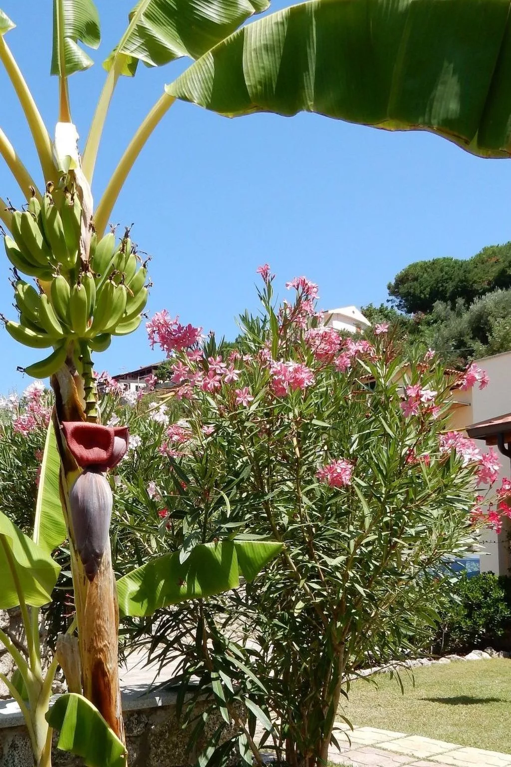 Zweizimmerwohnungen direkt am Meer-Image-tags.info