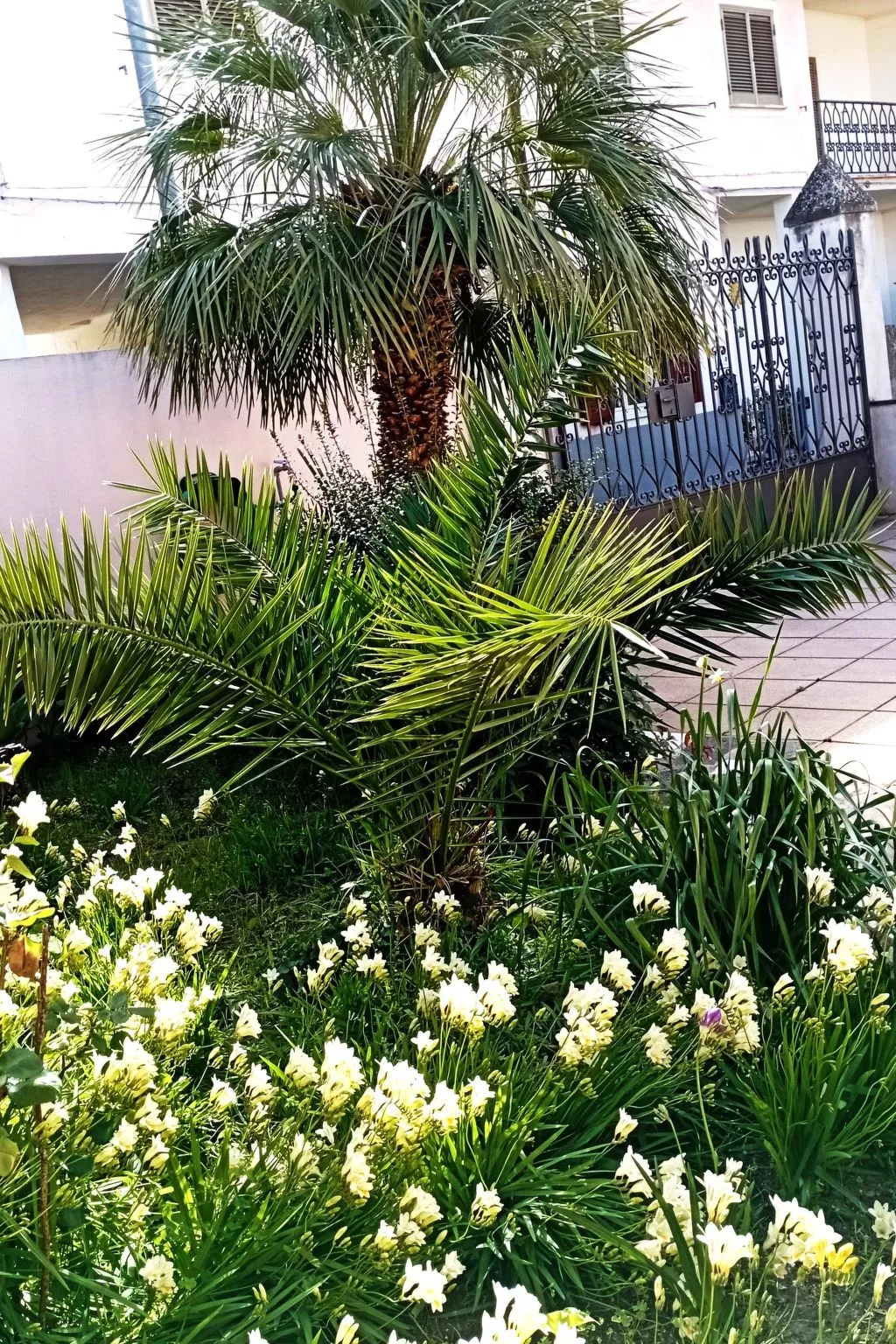 Mit Terrasse-Outside