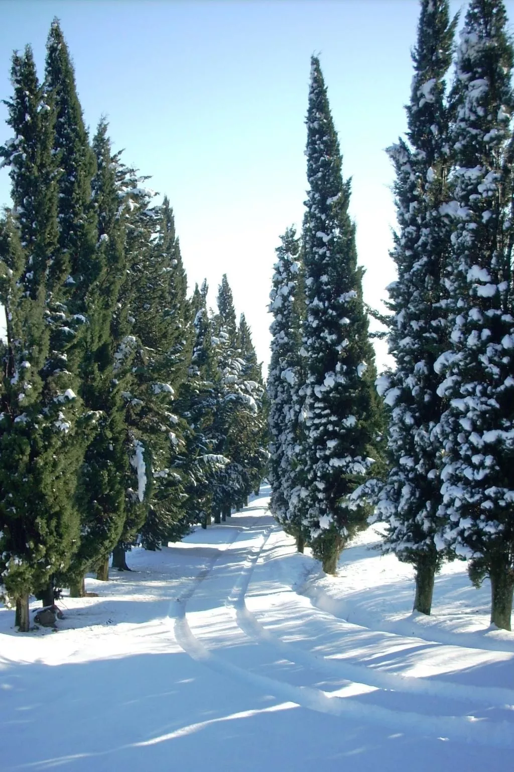 'La Torre' mit Terrasse-Image-tags.info