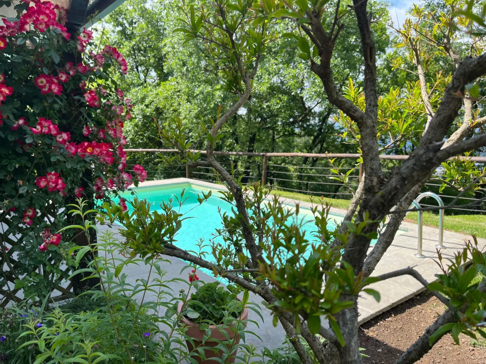 Villa im Grünen Civico 2 in Uzzano-Outside