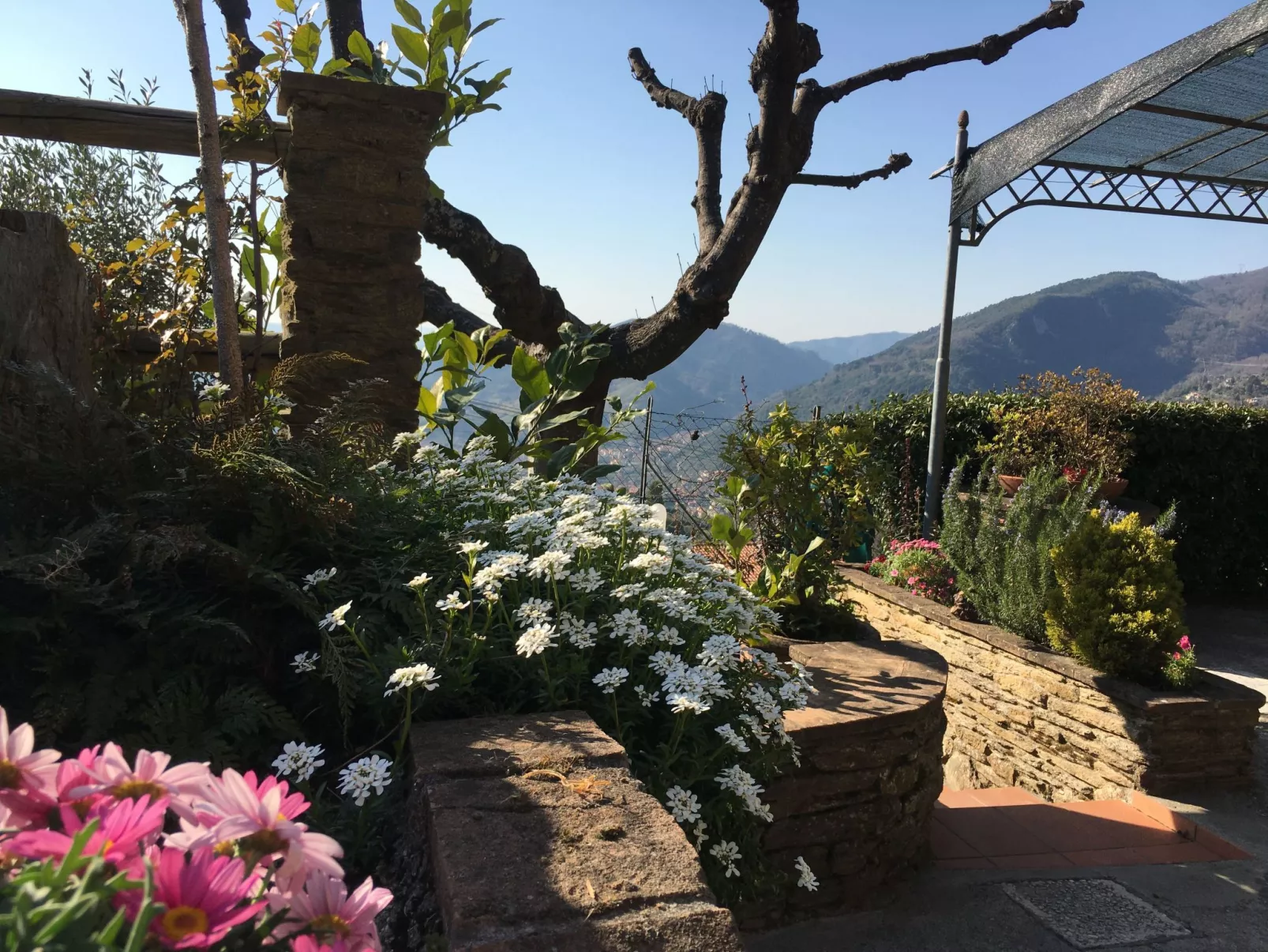 Wohnung 'Gelsomini' mit Meerblick-Inside