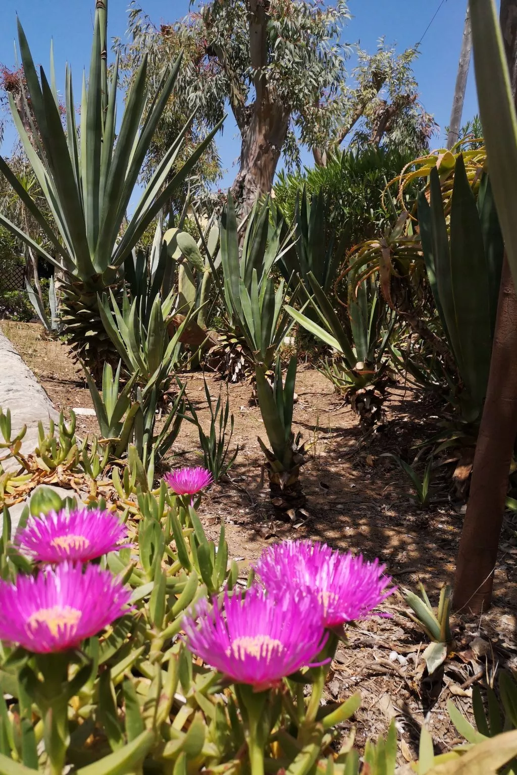 Schöner zentraler Bungalow direkt am Sandstrand auf Sizilien-Dedans