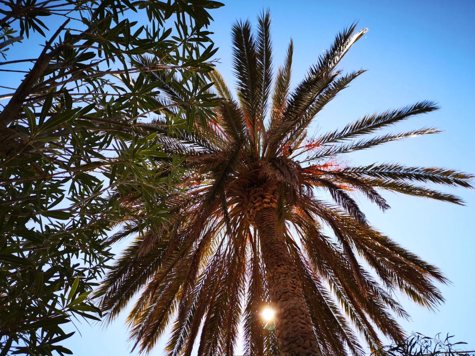 Schöner zentraler Bungalow direkt am Sandstrand auf Sizilien-Inside