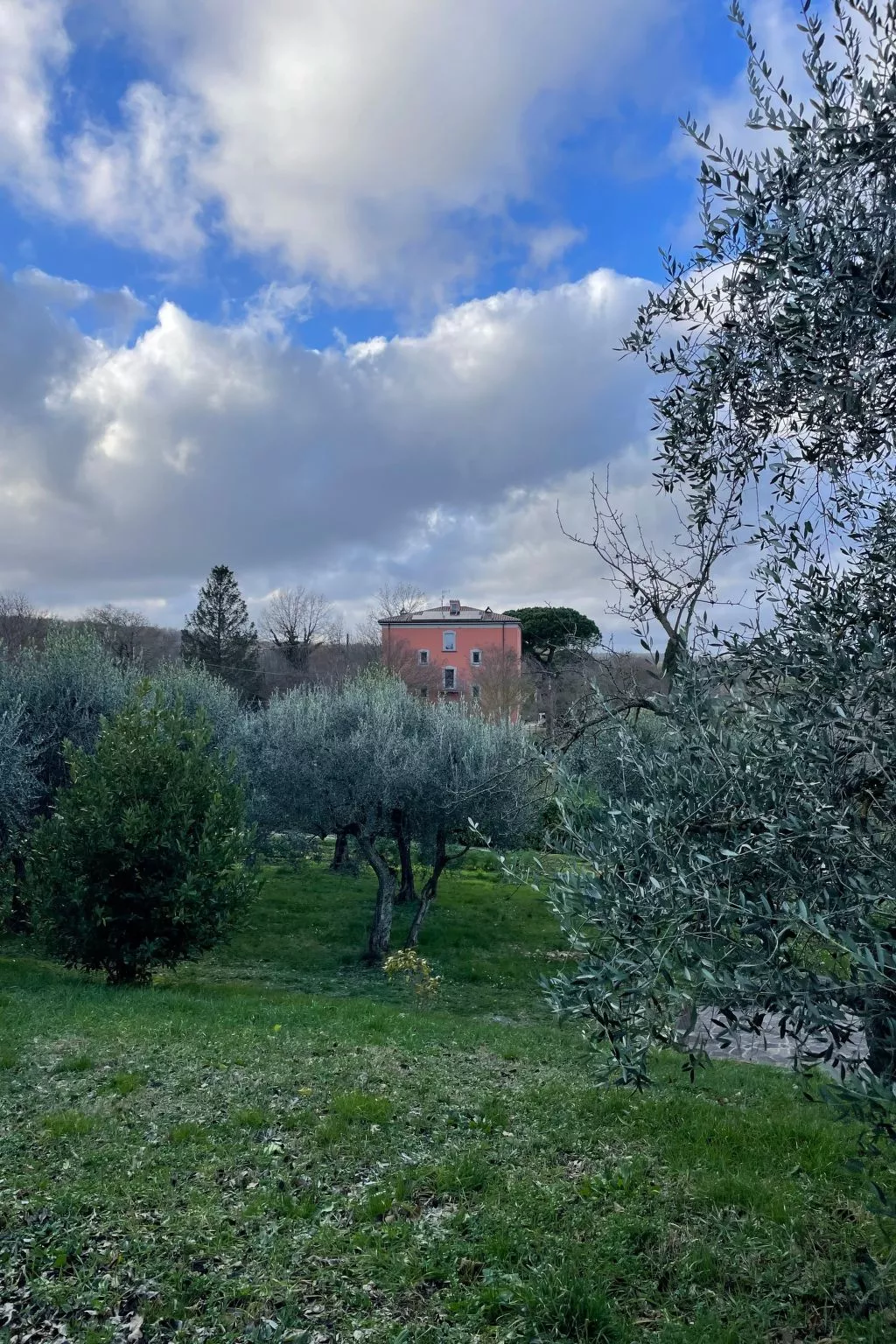 'Merula Antica Dimora'-Dedans