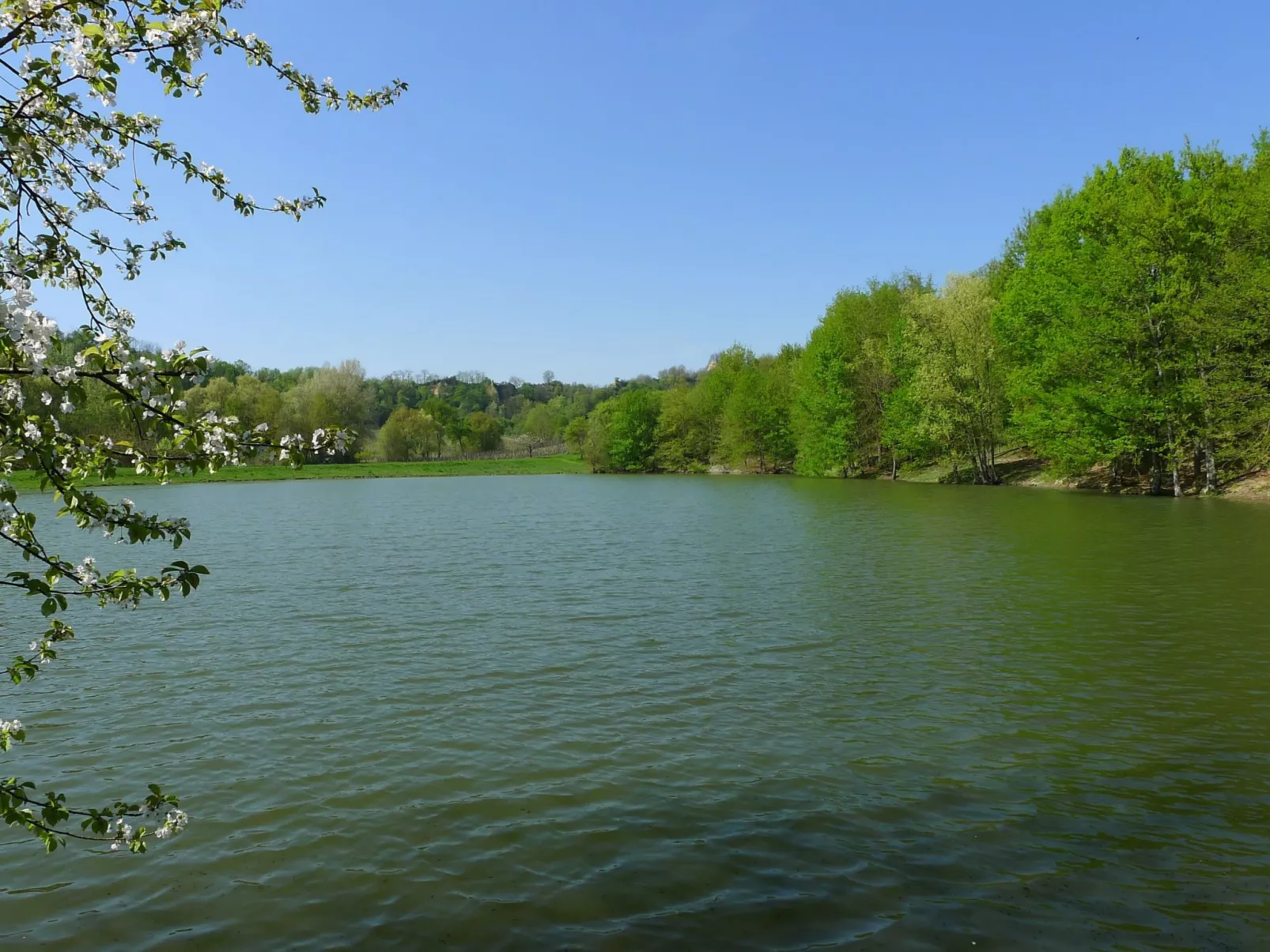 Schönes Apartment mit 2 Schlafzimmern und 2 Bädern-Outside
