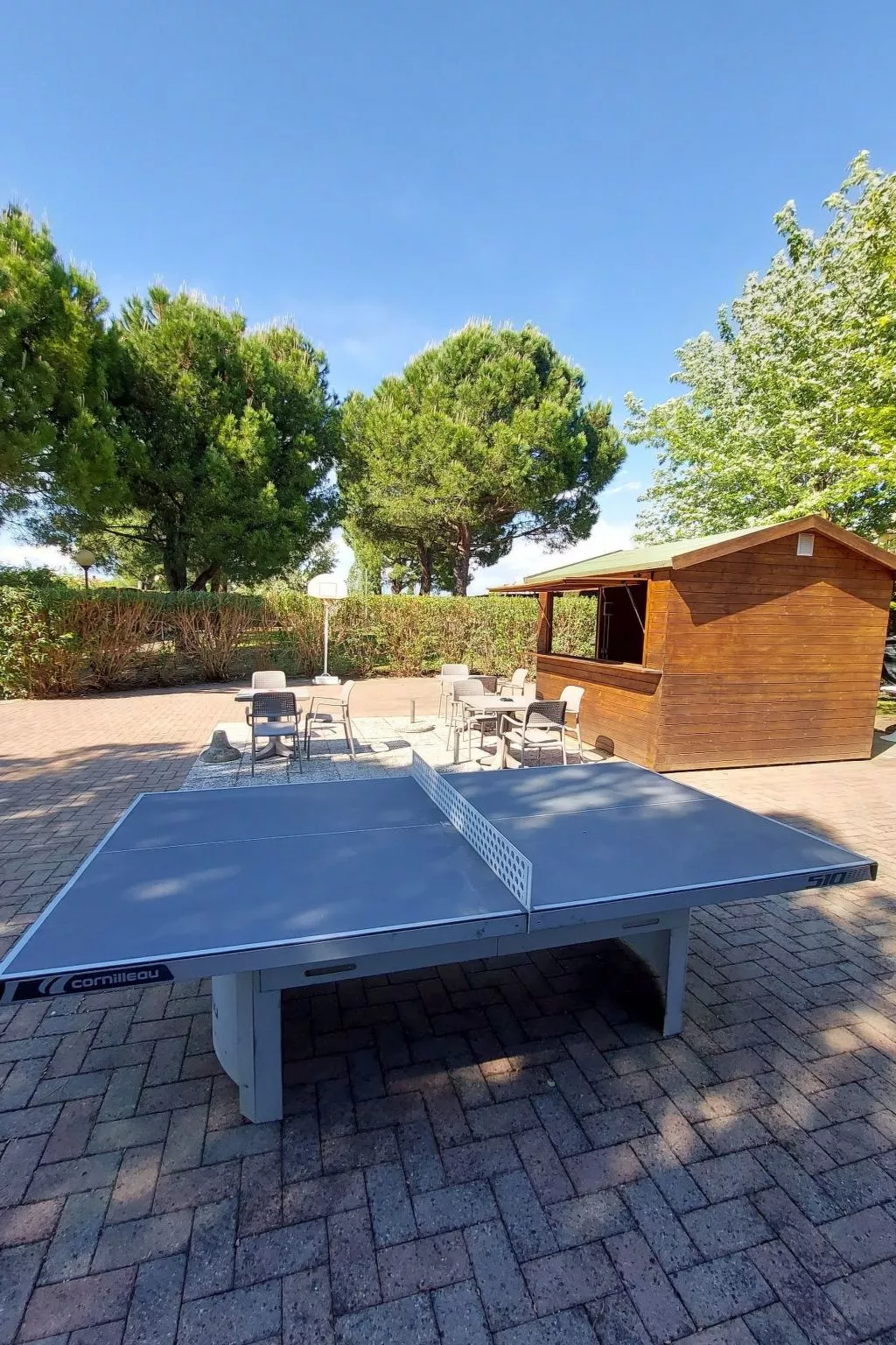 APART DINA LAZISE-Drinnen