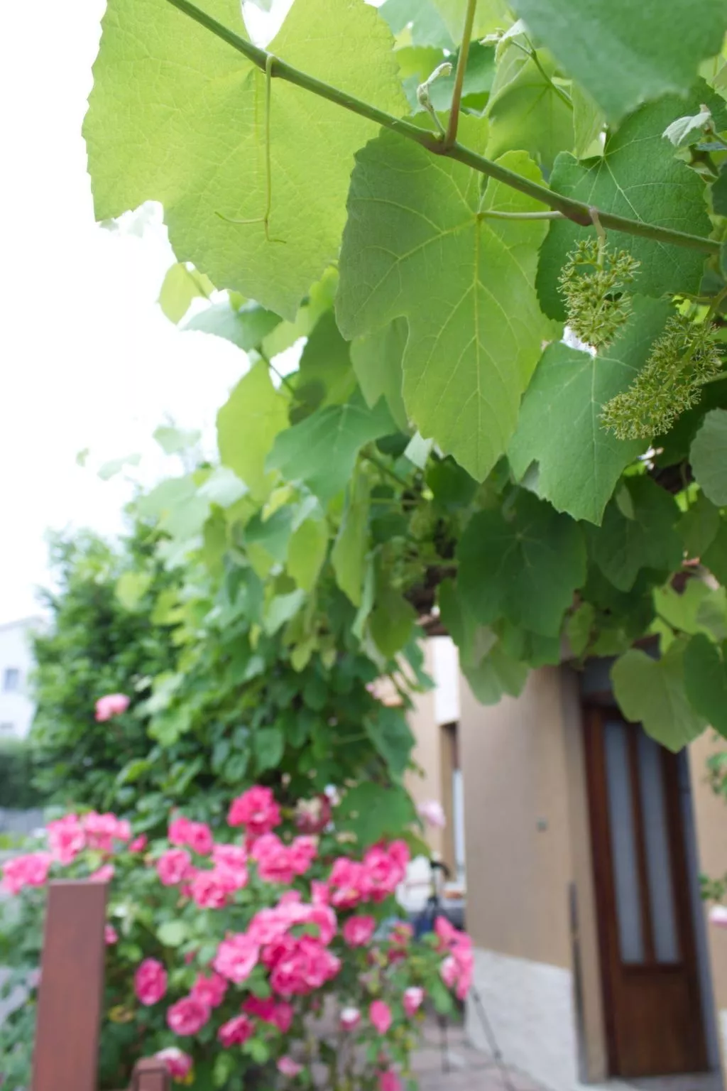 "Casa Natalia 2-Outside