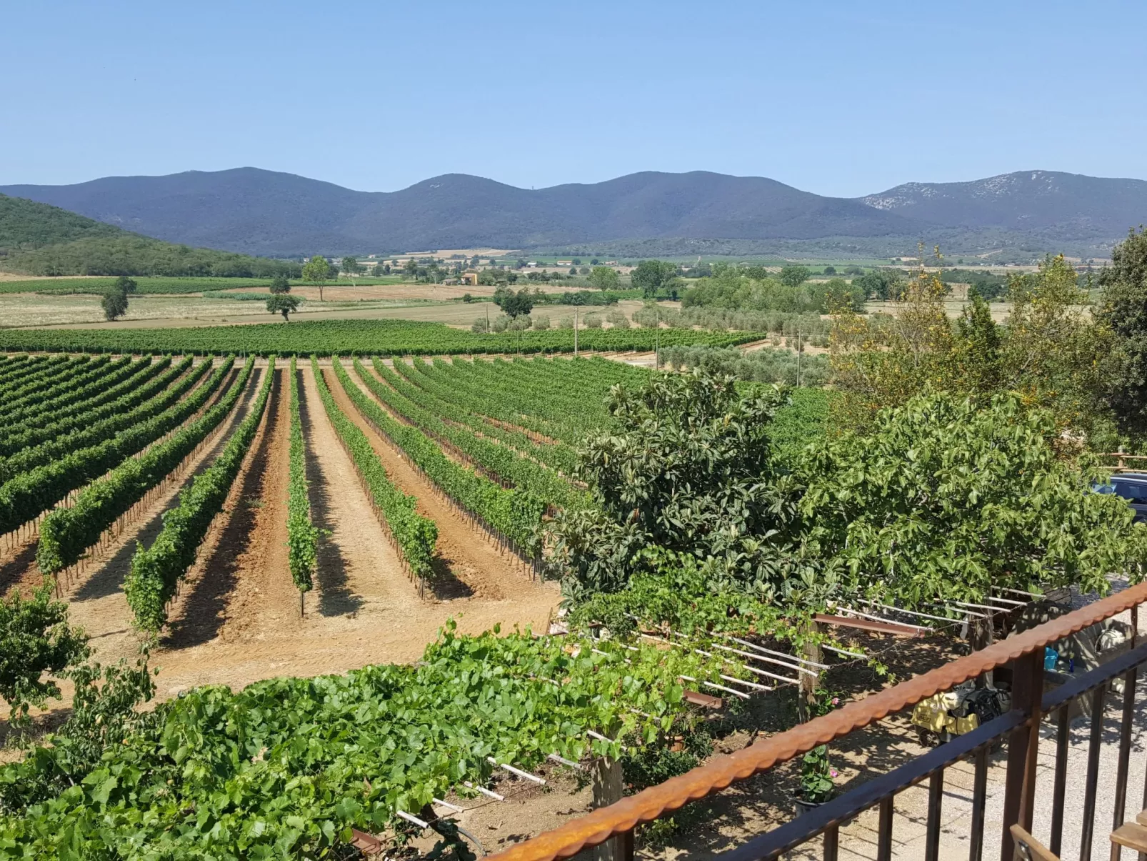 Bio-Bauernhof in der Maremma Park-Outside