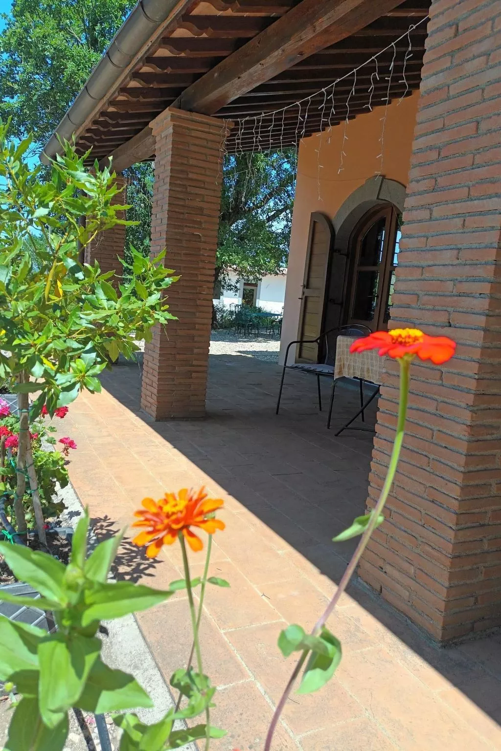 LaPorcilaia, Ferienwohnung mit Seeblick. - Dehors