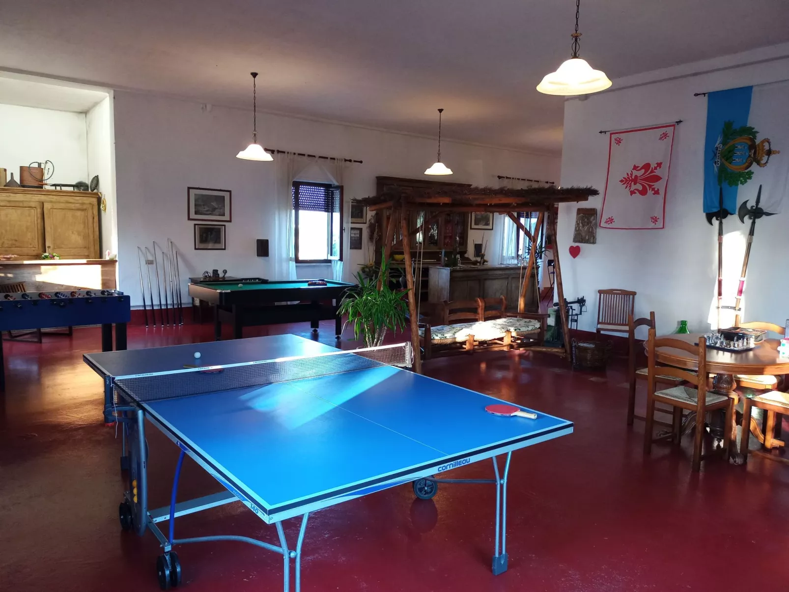 Flache Kornblume-Drinnen