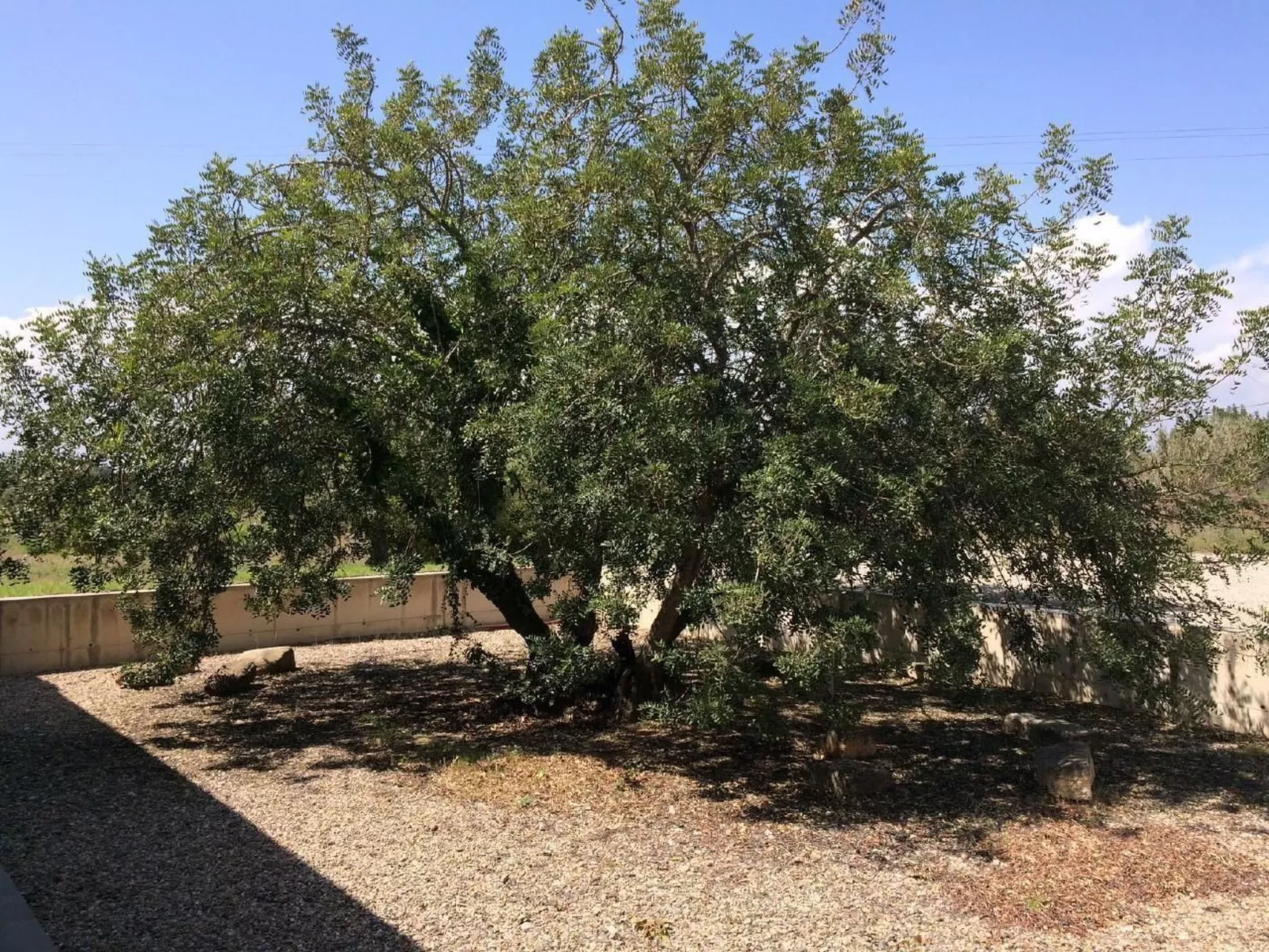 Design Vila mit Pool-Image-tags.info