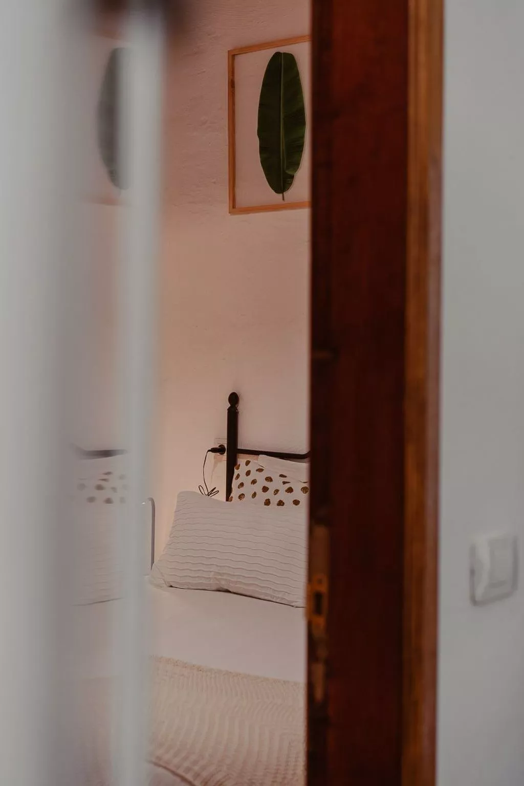 Holanda Tropic Deluxe-Inside