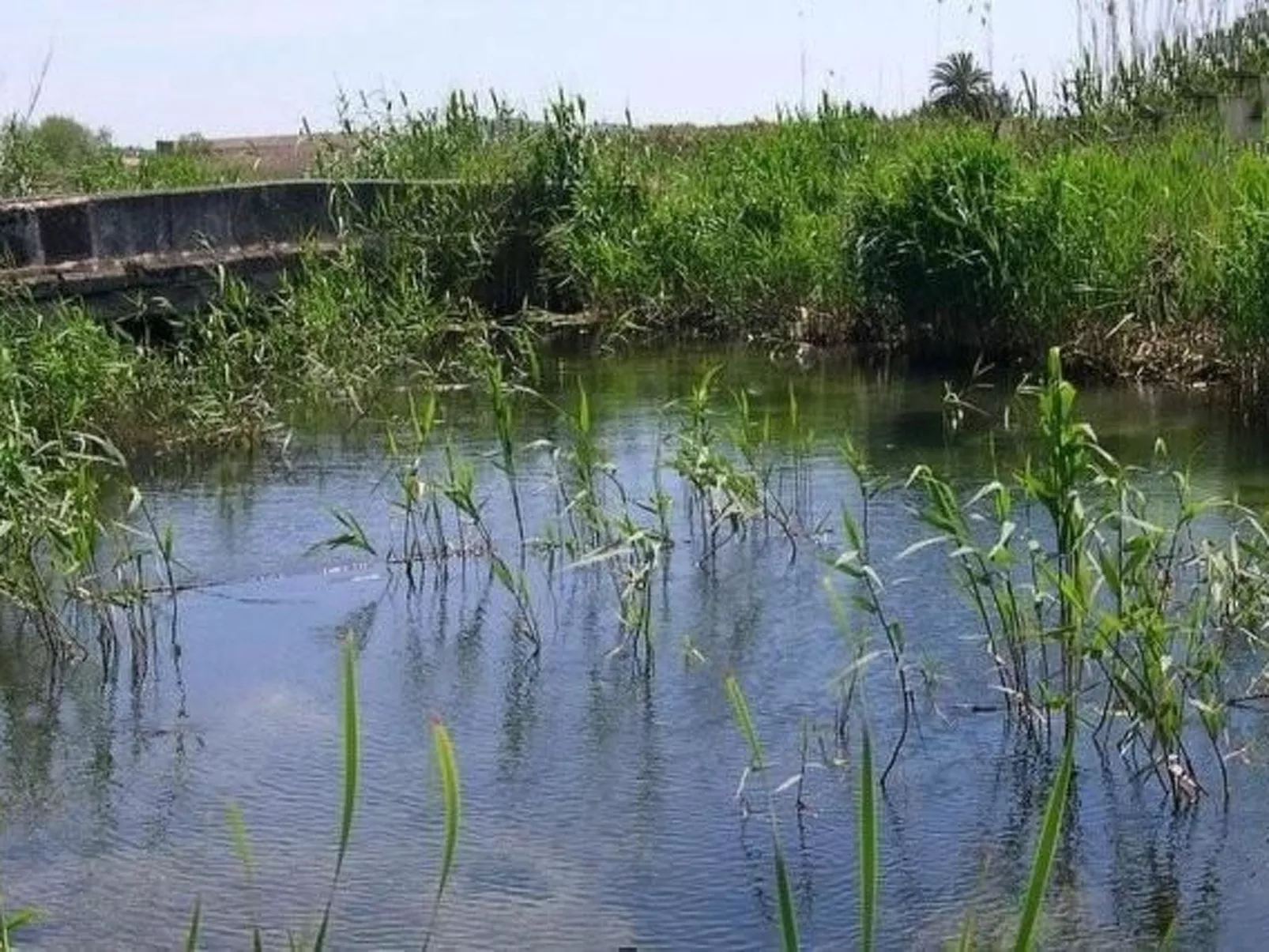 Villa "Estel" mit eigenem Schwimmbad-Image-tags.info