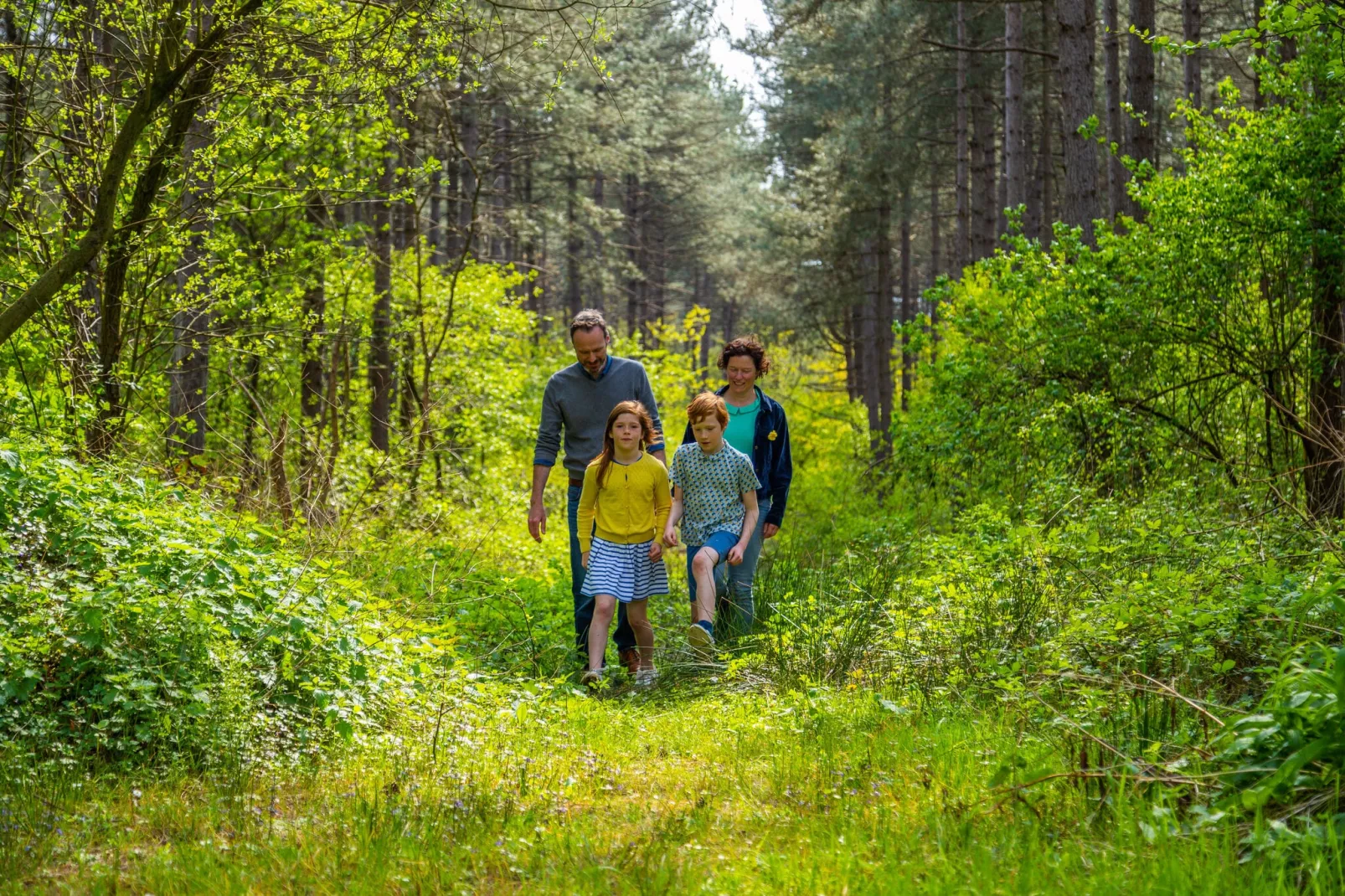 Resort Hoge Kempen 9-Areas summer 1km