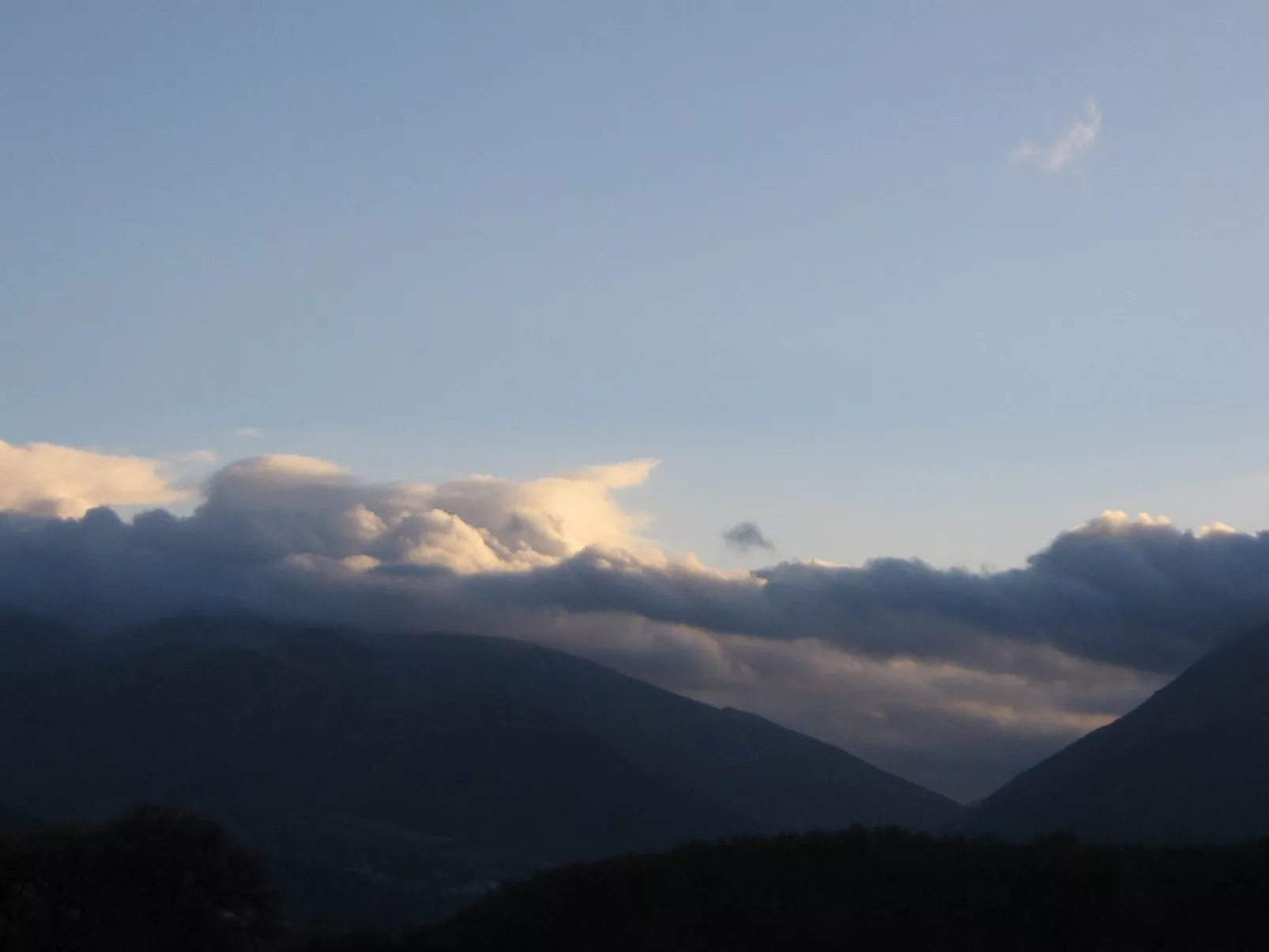 Flacher Flieder-Draußen