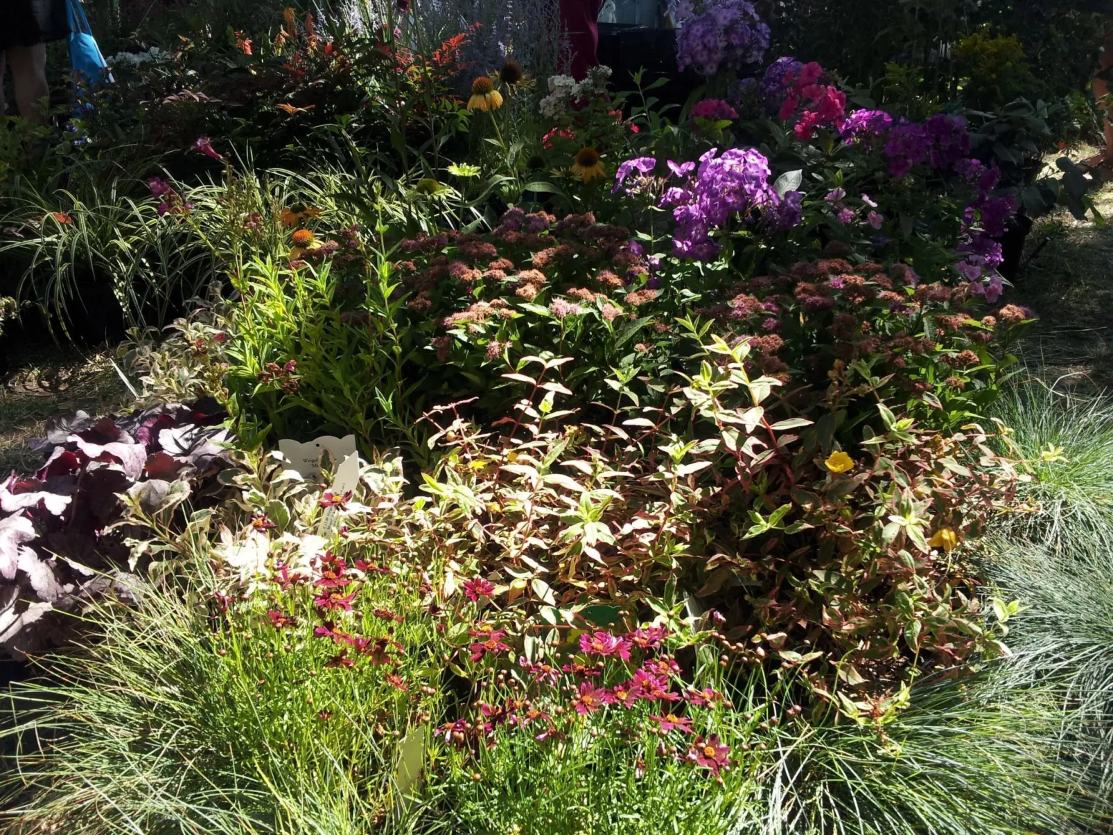 Anwesen "Il Campano" mit Whirlpool-Image-tags.info