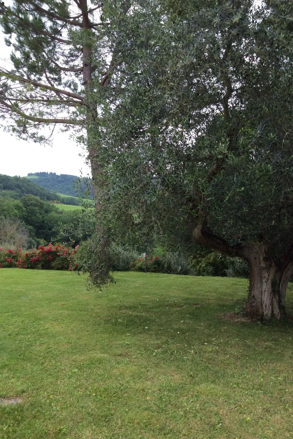 Anwesen "Gelsomino" mit Terrasse-Image-tags.info