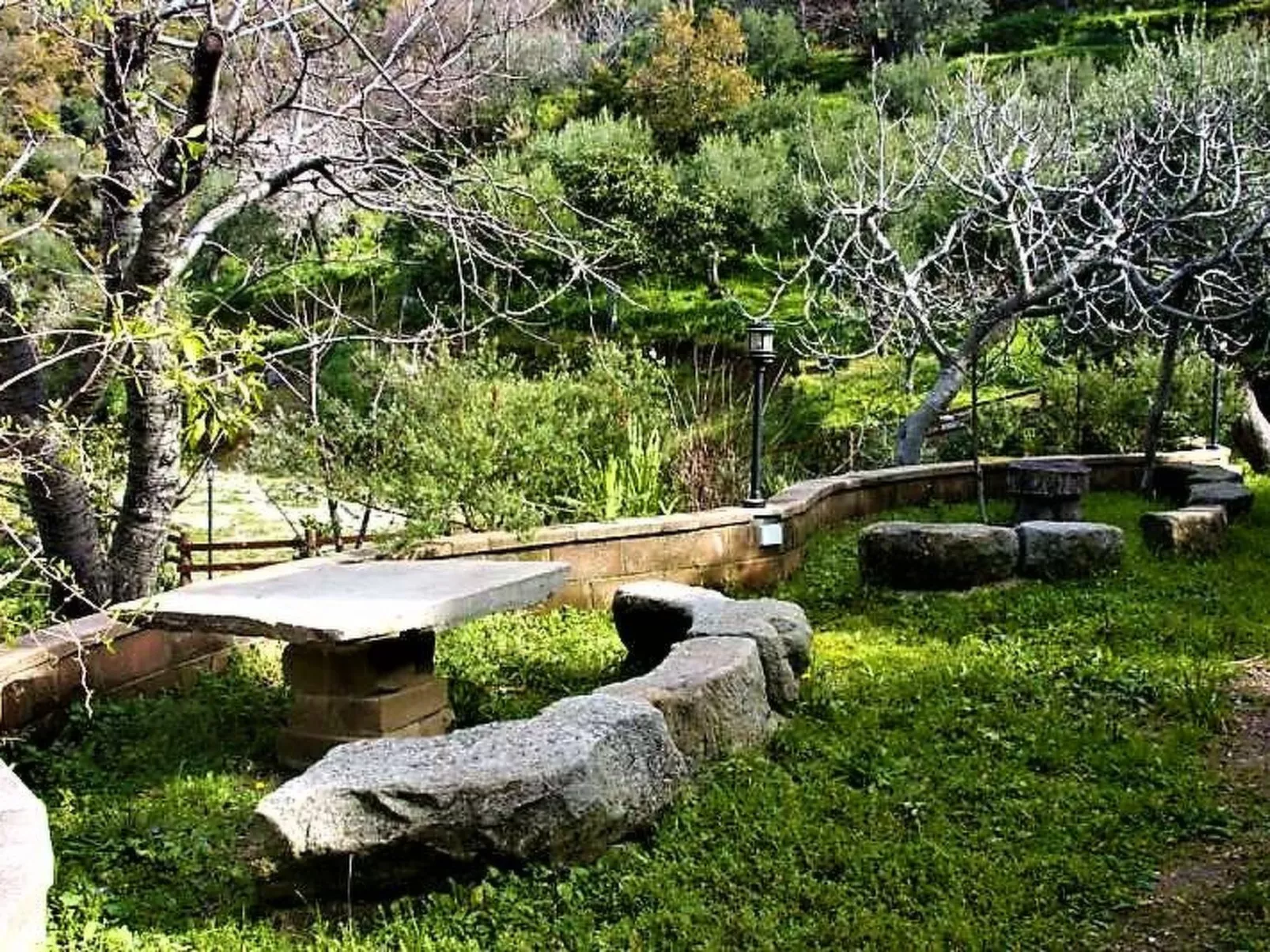 Mandelbaum-Wohnung-Dehors