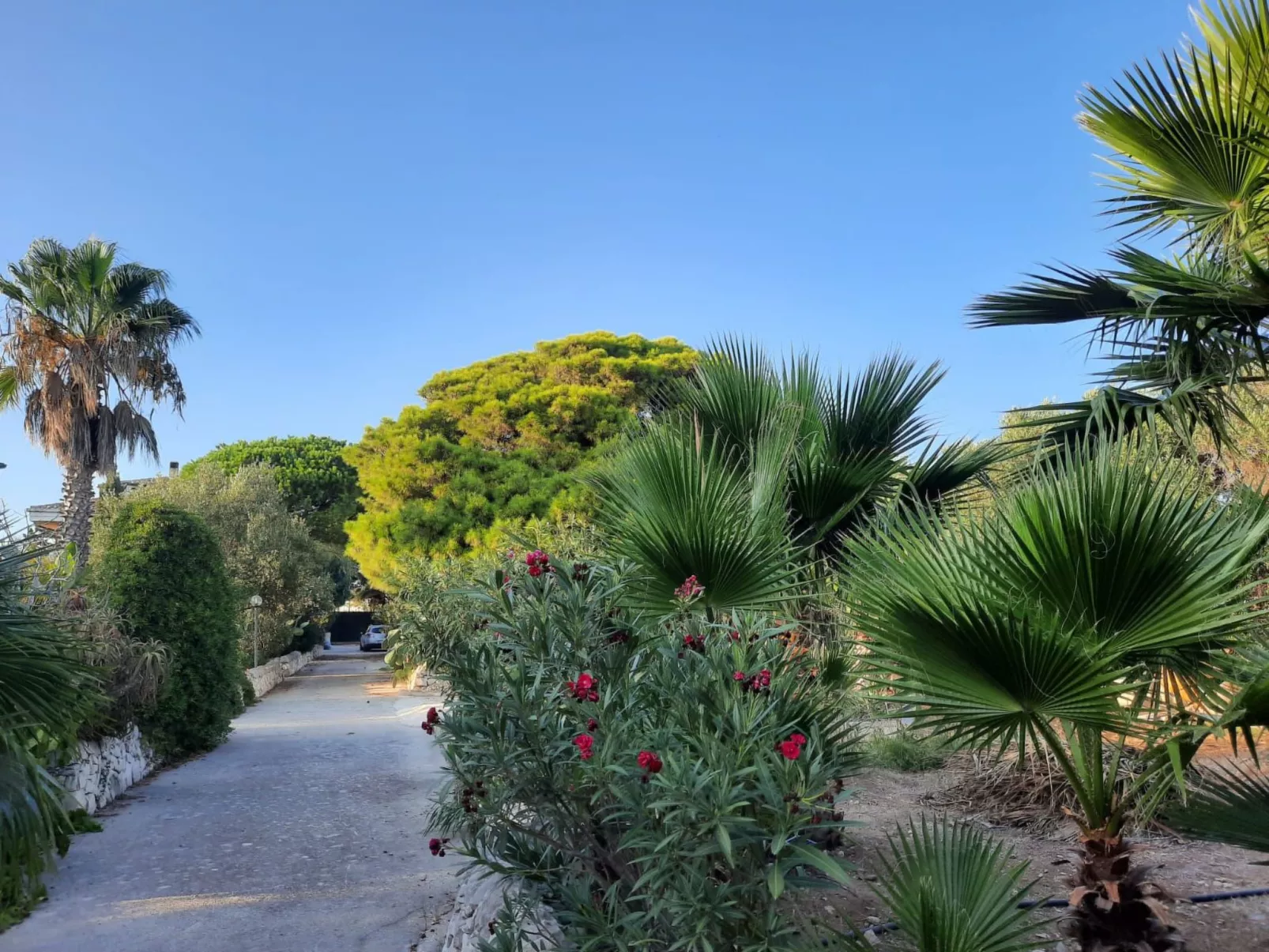 Mit grosser Terrasse direkt am Meer-Dedans