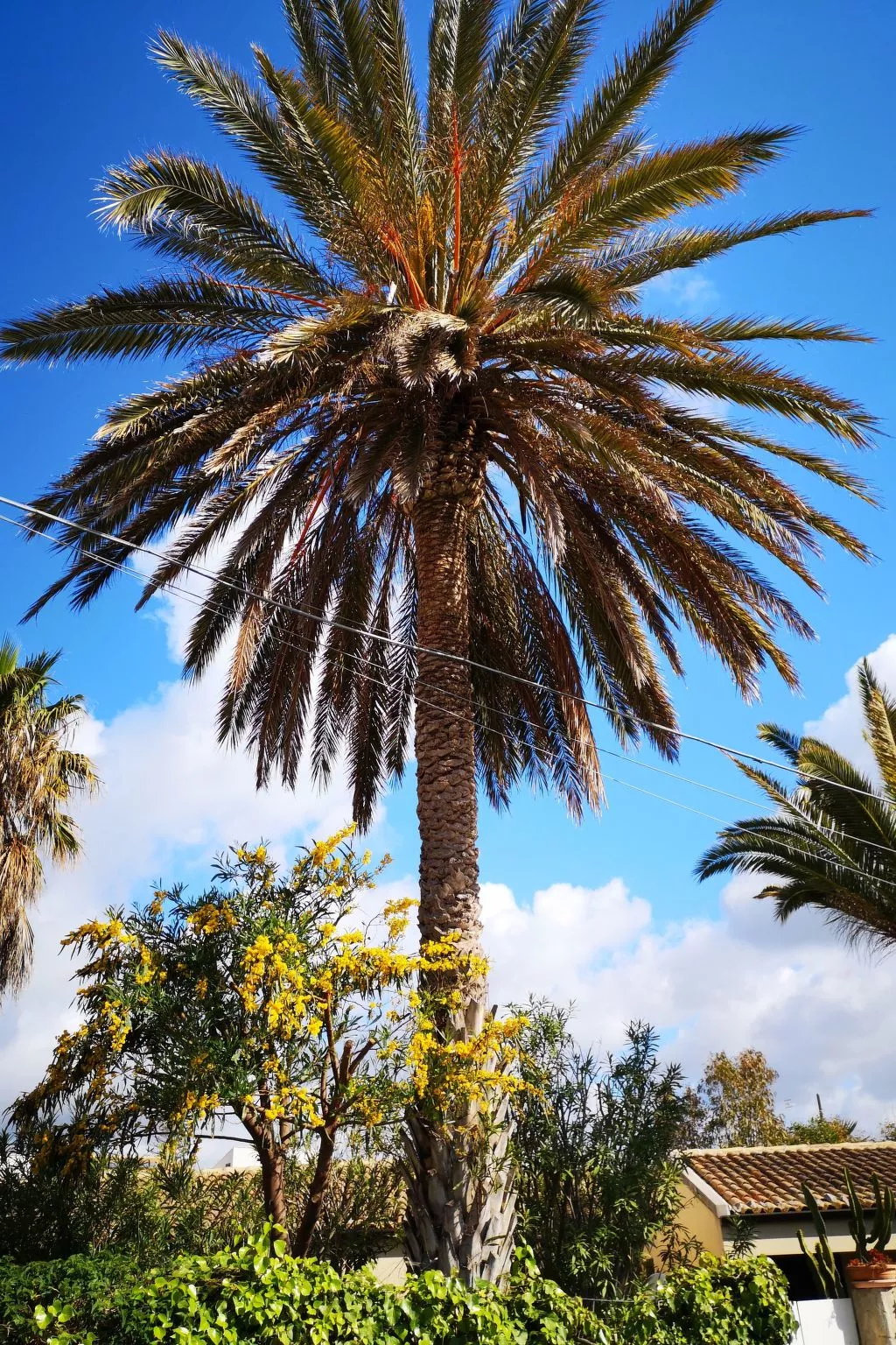 Schöner zentraler Bungalow direkt am Sandstrand auf Sizilien-Inside