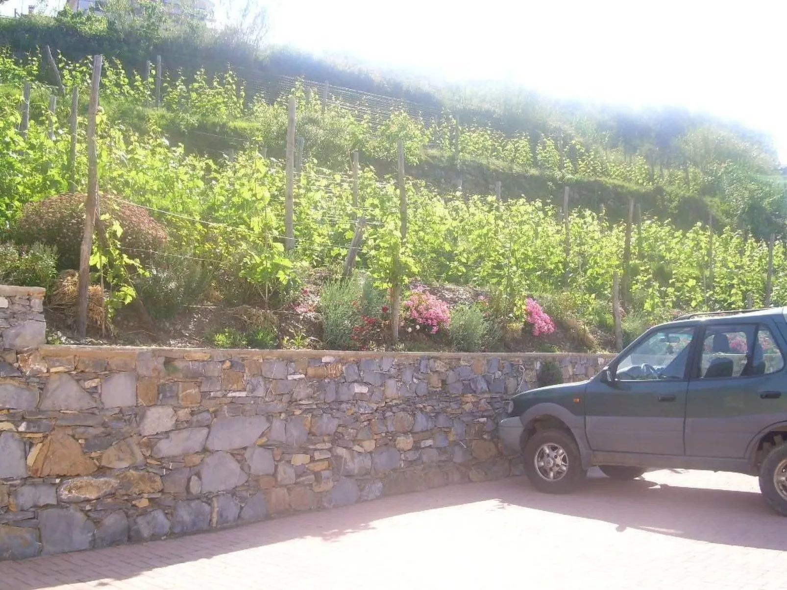 Wohnung mit Terrasse mit Meerblick-Inside