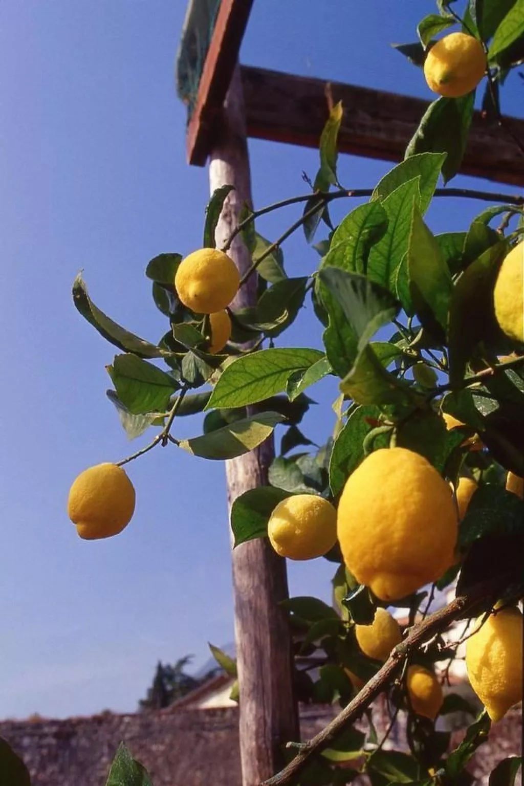 'La Casetta Limone-Outside