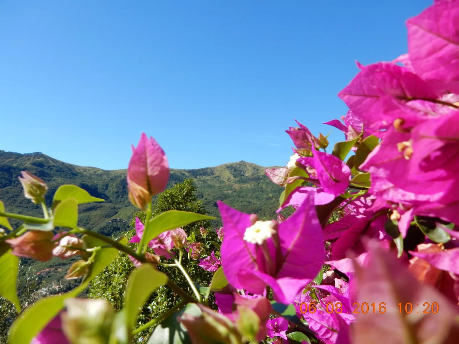 Schönes Ferienhaus mit Garten und Whirlpool-Draußen