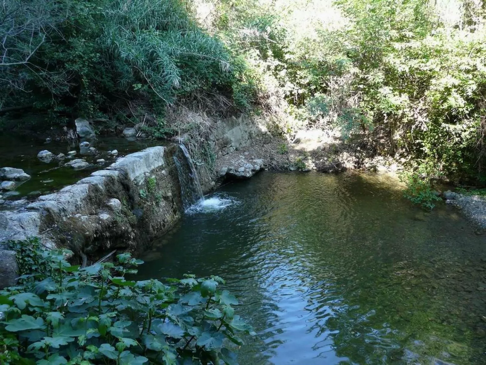 Molino Trilo 5-Outside