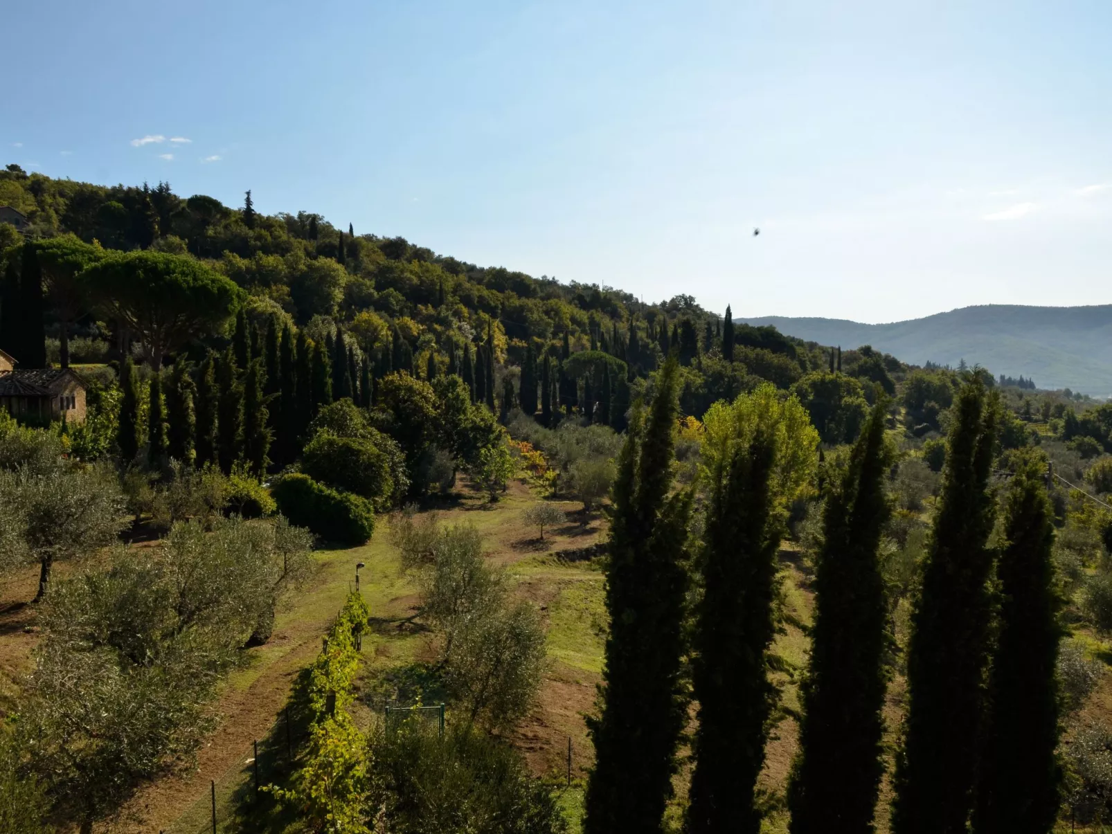 Villa Eugenio-Dehors