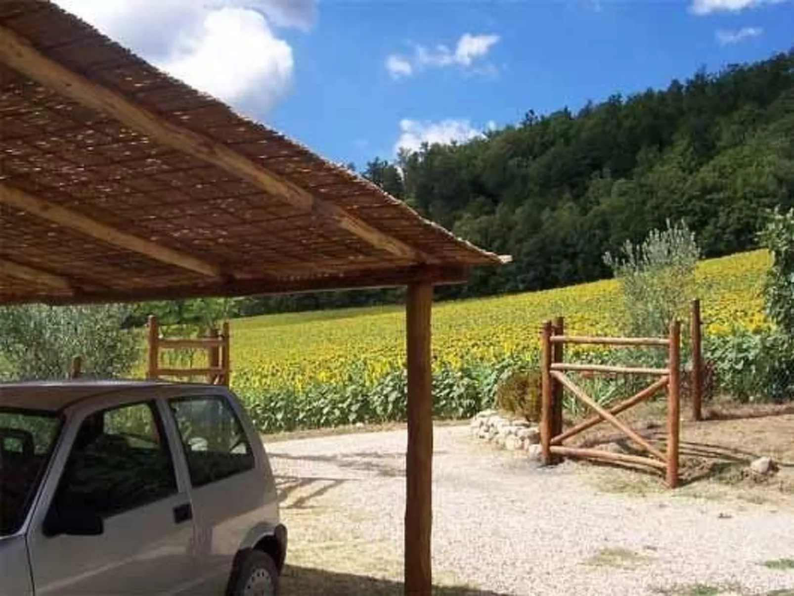 Großes Appartement-Outside