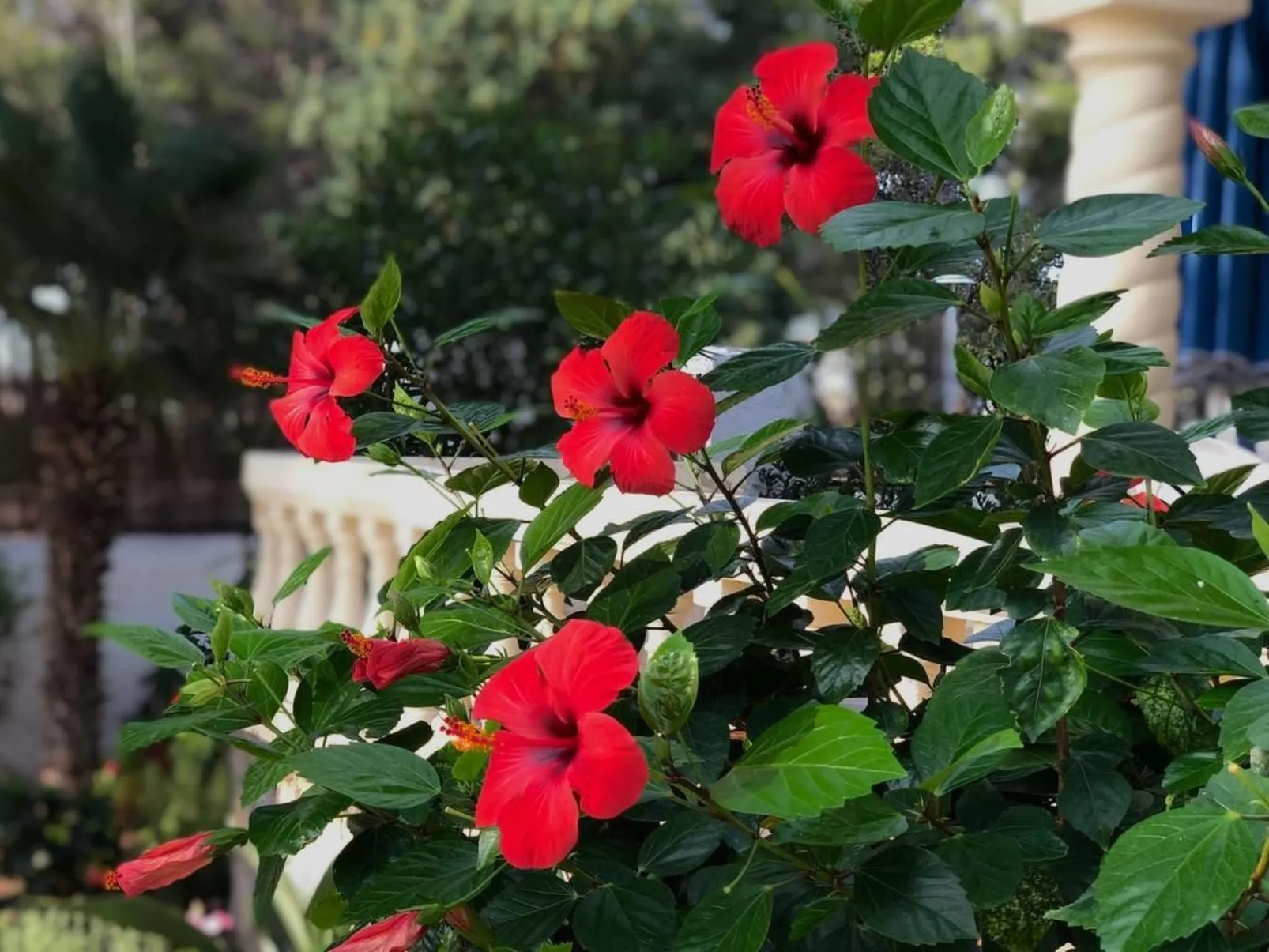 Villa mit einem Nebengebäude auf weitläufigem Garten in Strandnähe-Image-tags.info