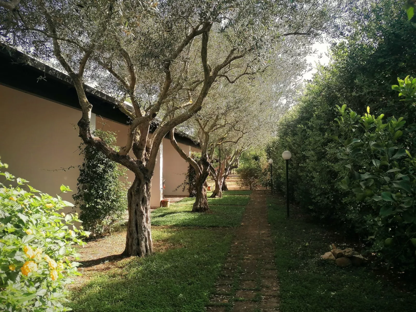 Villetta Bungalow-Dedans