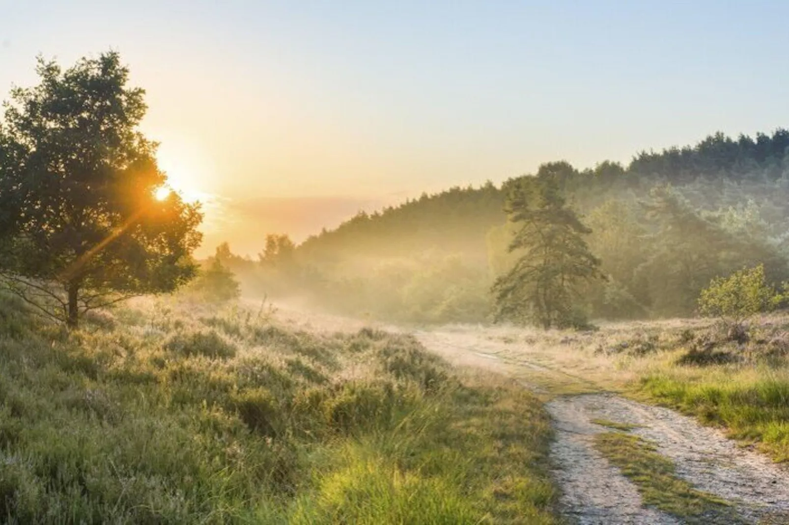 Resort Hoge Kempen 11-Areas summer 5km