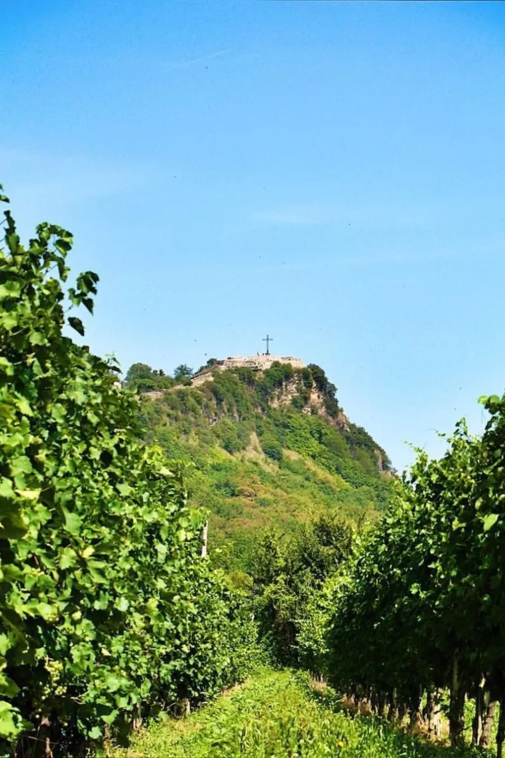 "Appartement für 3 Personen"-Draußen