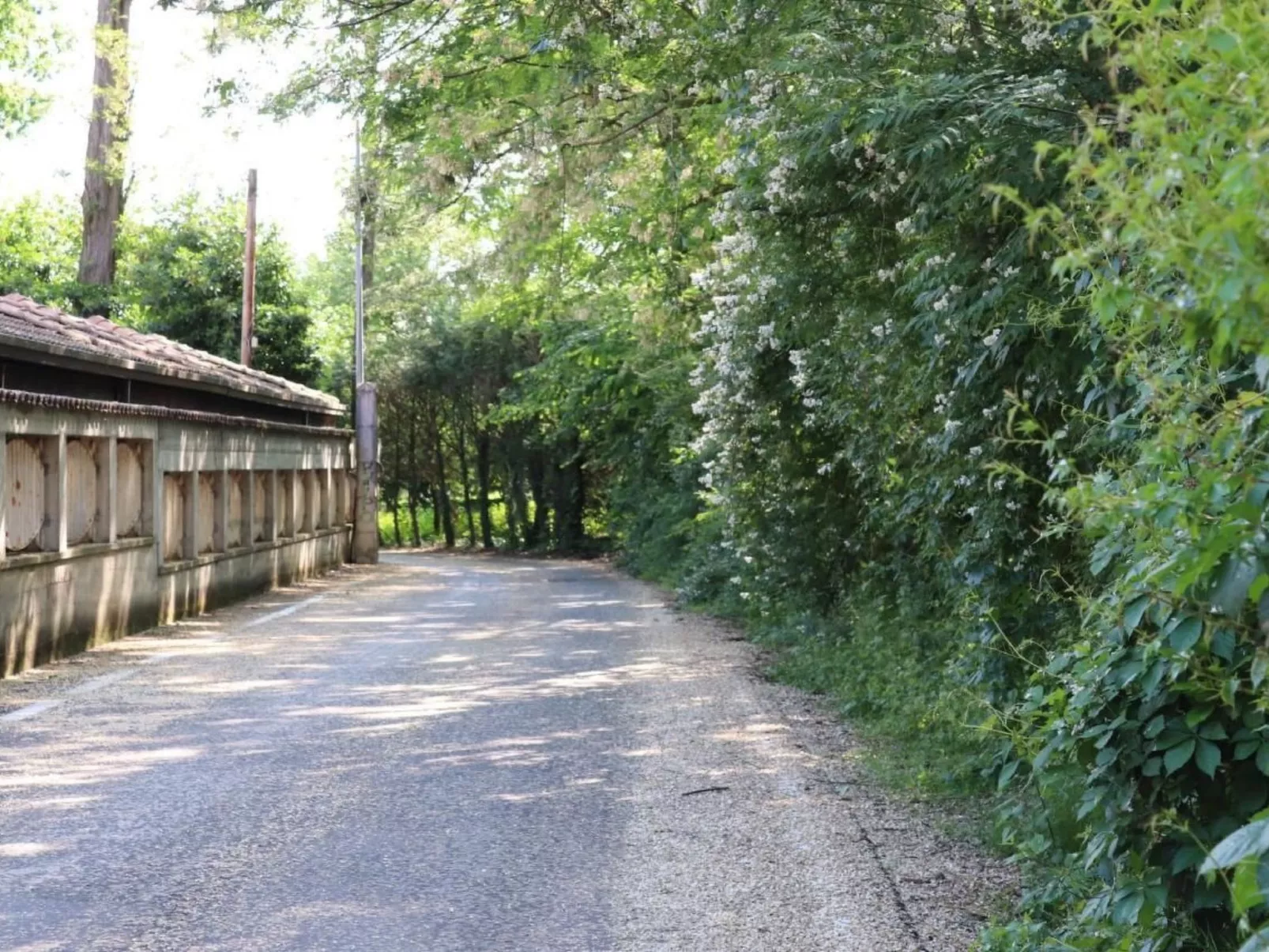 La Terrazza' Wohnung mit Seeblick-Outside