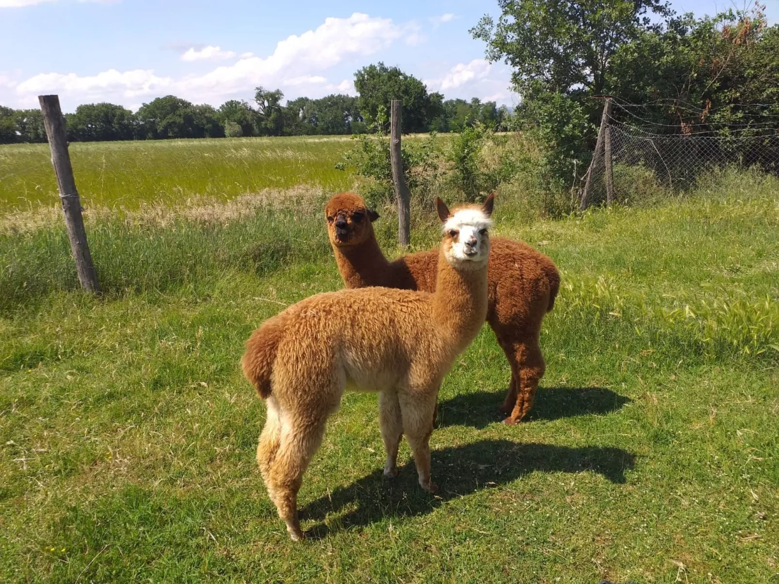 Ein Urlaub im Grünen-Image-tags.info