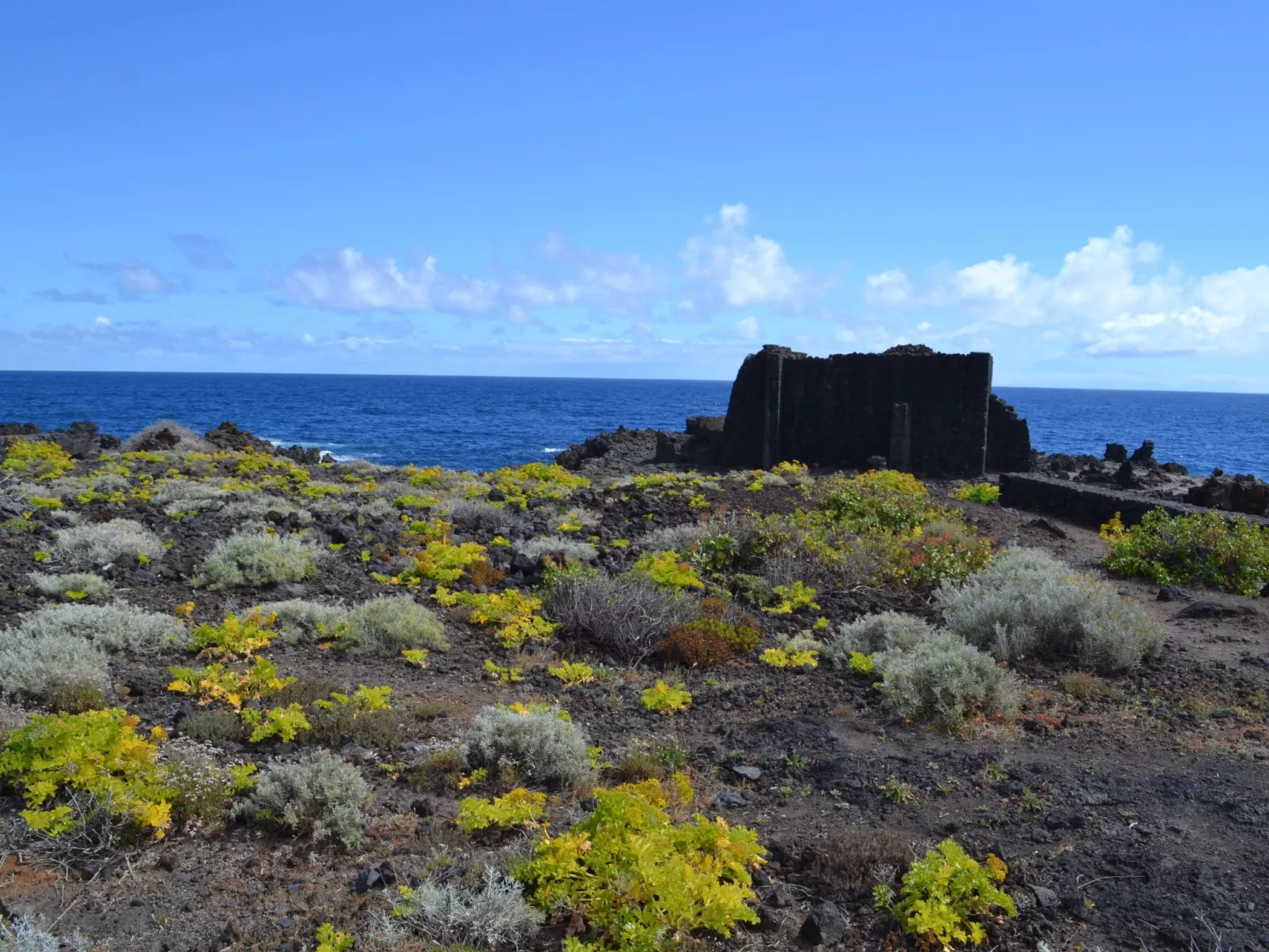 Strand und Entspannung Wohnung-Inside