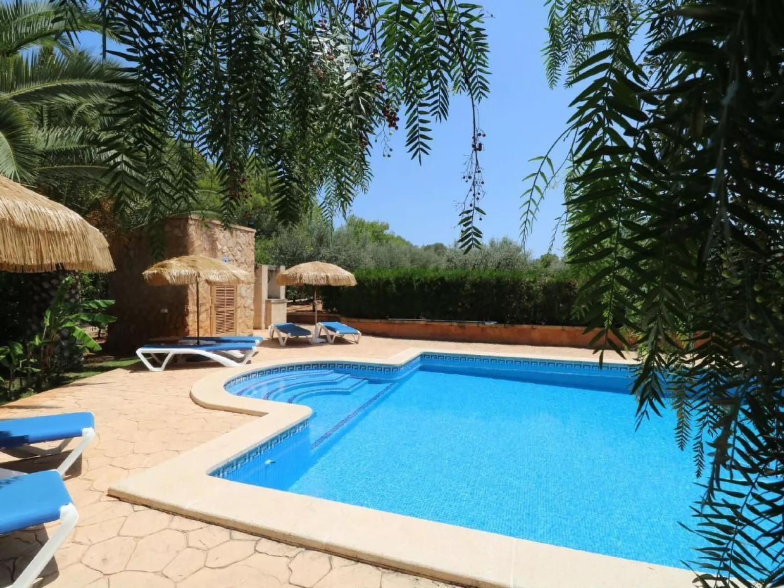 Fi. Camaron-Crestall-Image-tags.info