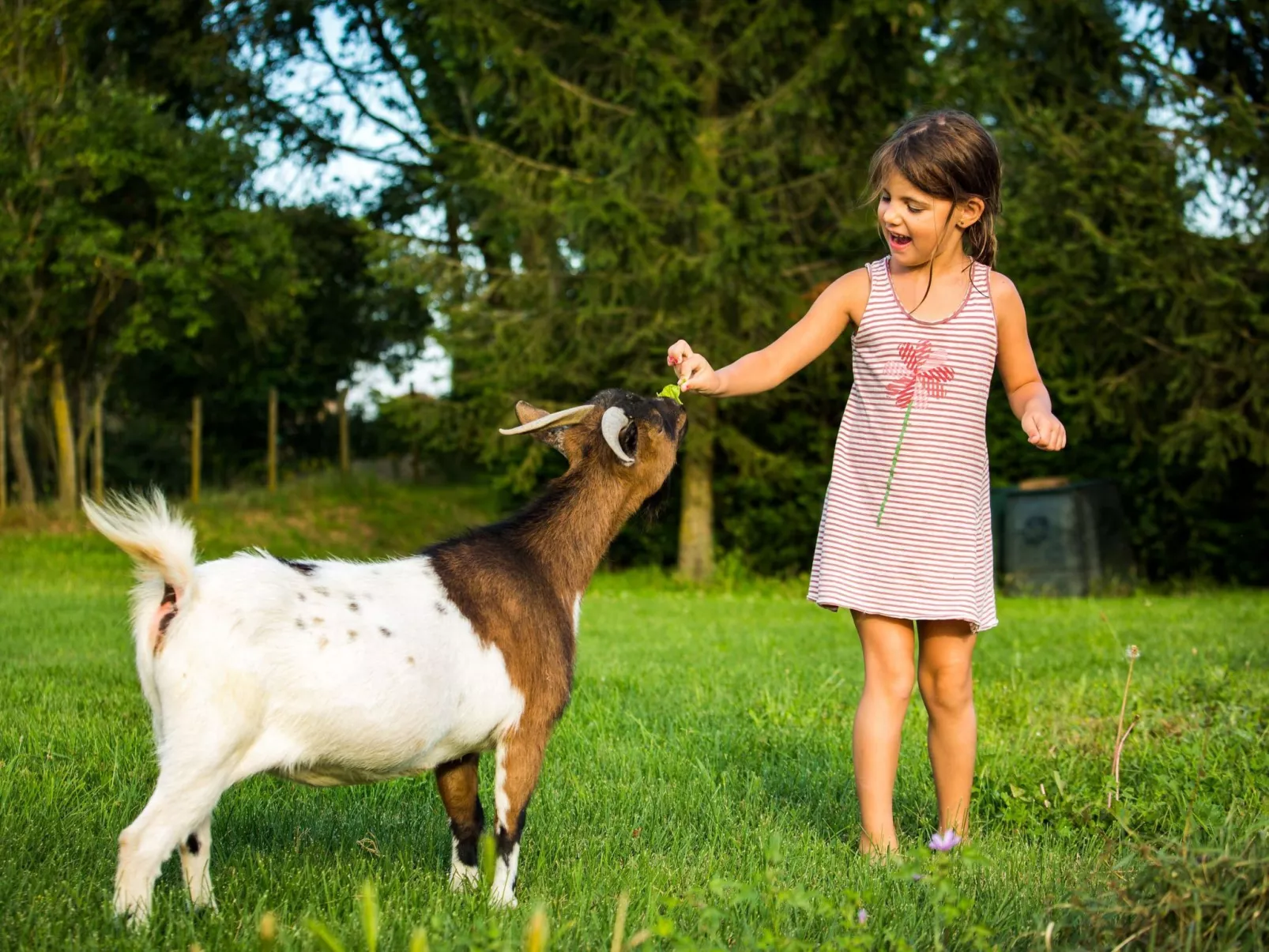 "Cobert del Carro".-Outside