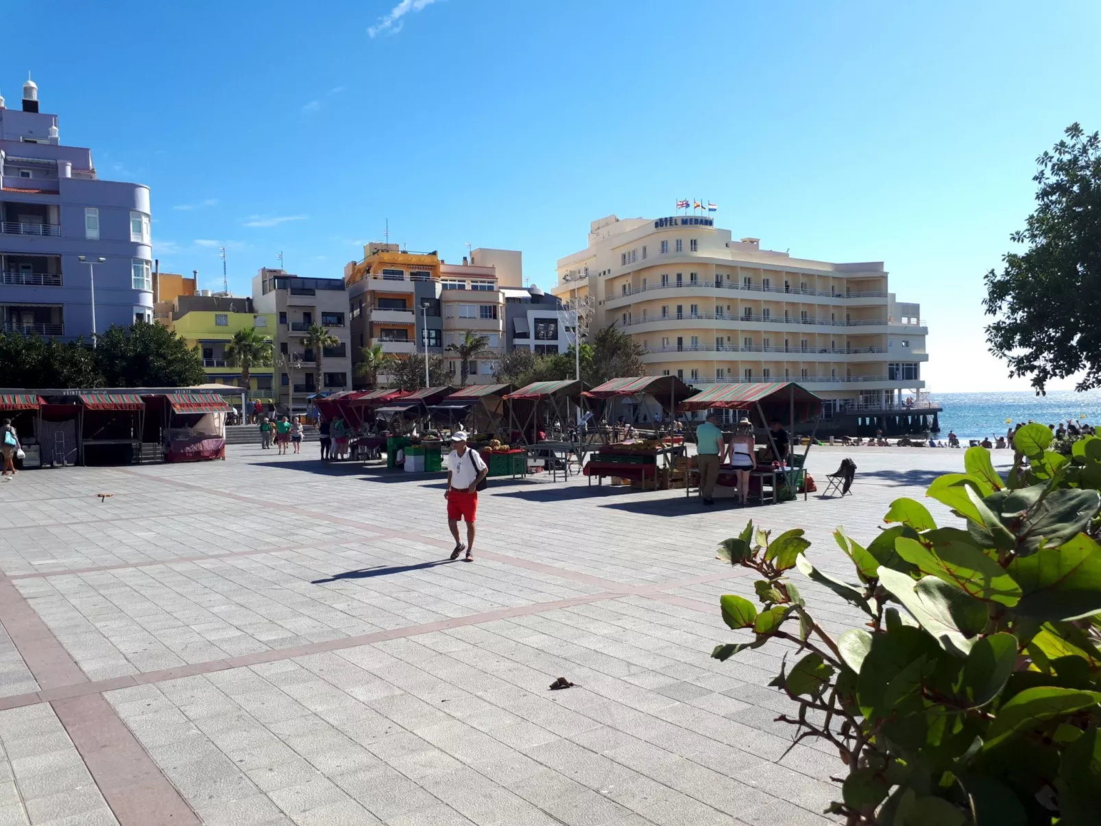 "Cañaveral Medano".-Drinnen