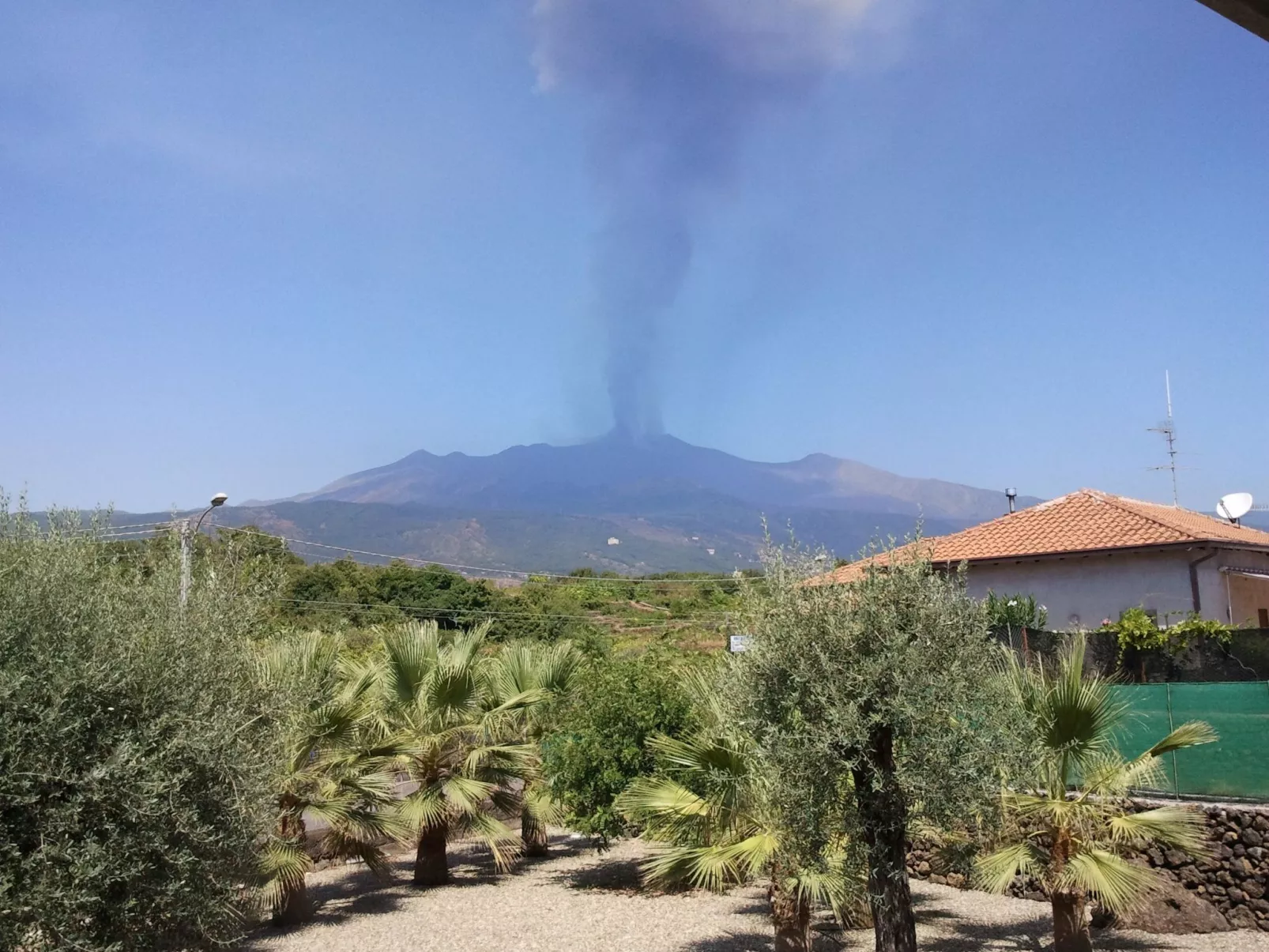 Le Palme in linera-Image-tags.info