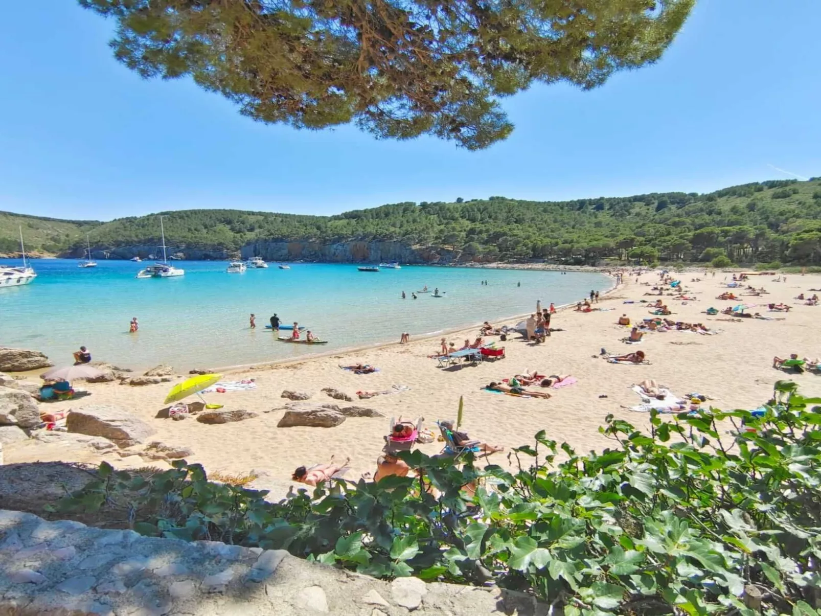 Urlaubswohnung Ibiza an der Costa Brava-Image-tags.info