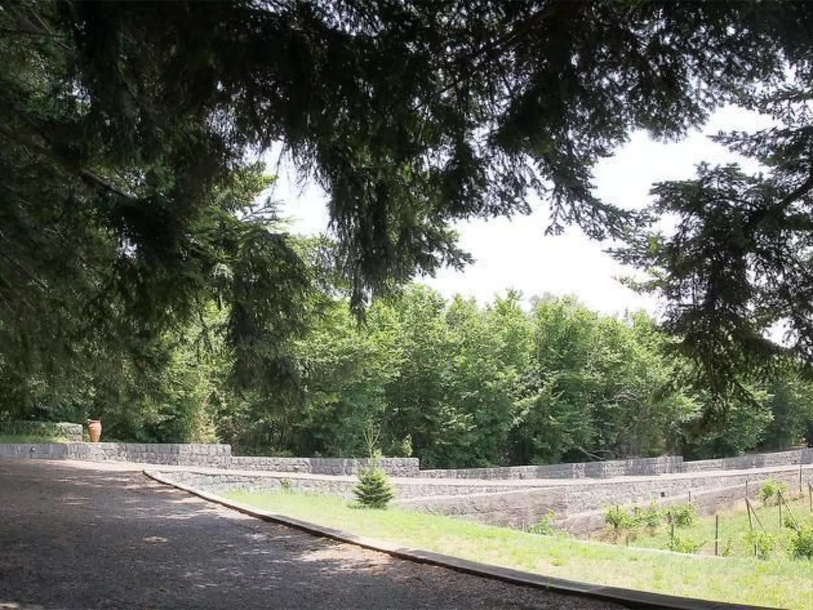 Villa Le Vignoble in Montargano-Image-tags.info