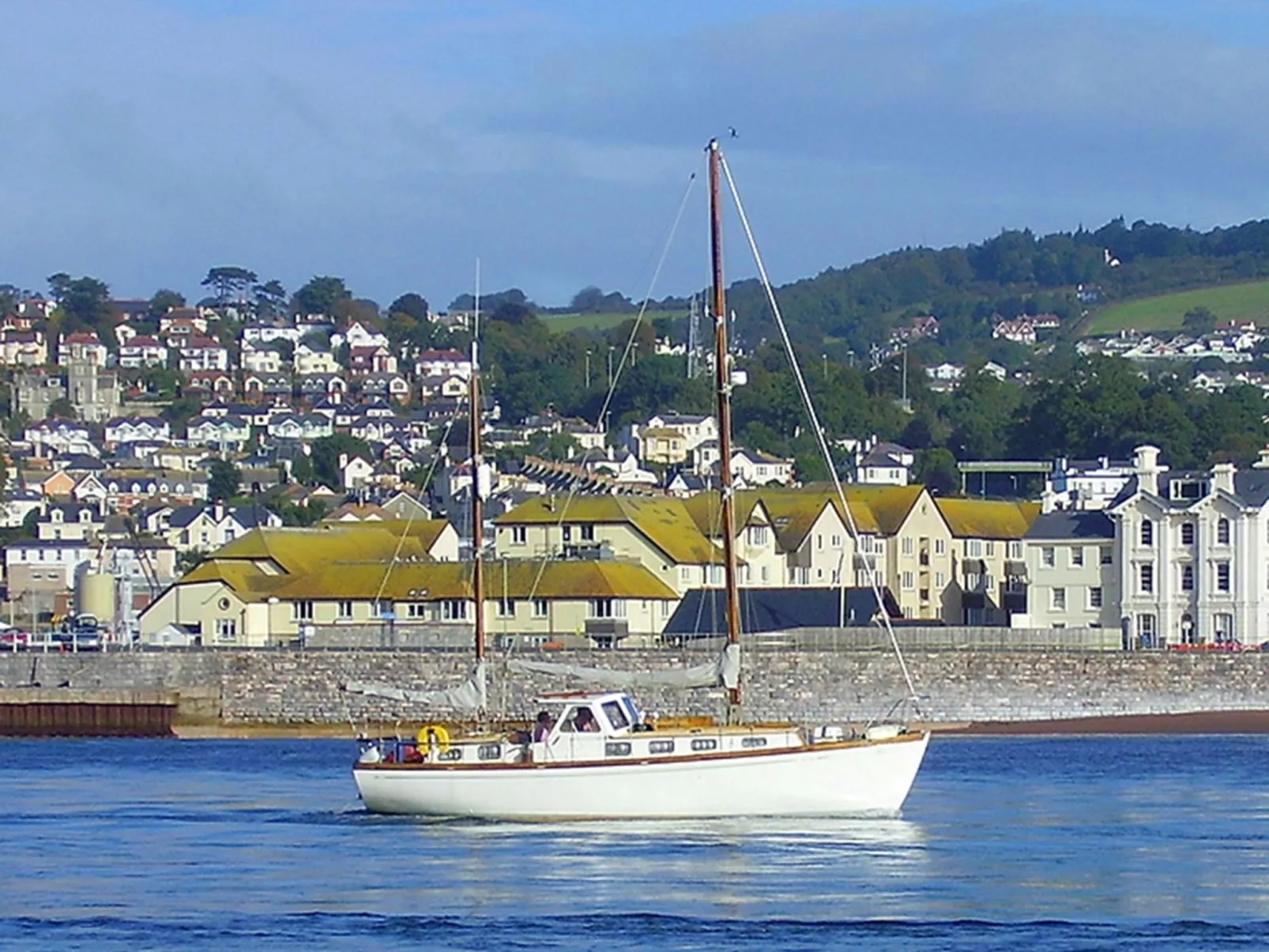 The Nest-Image-tags.info