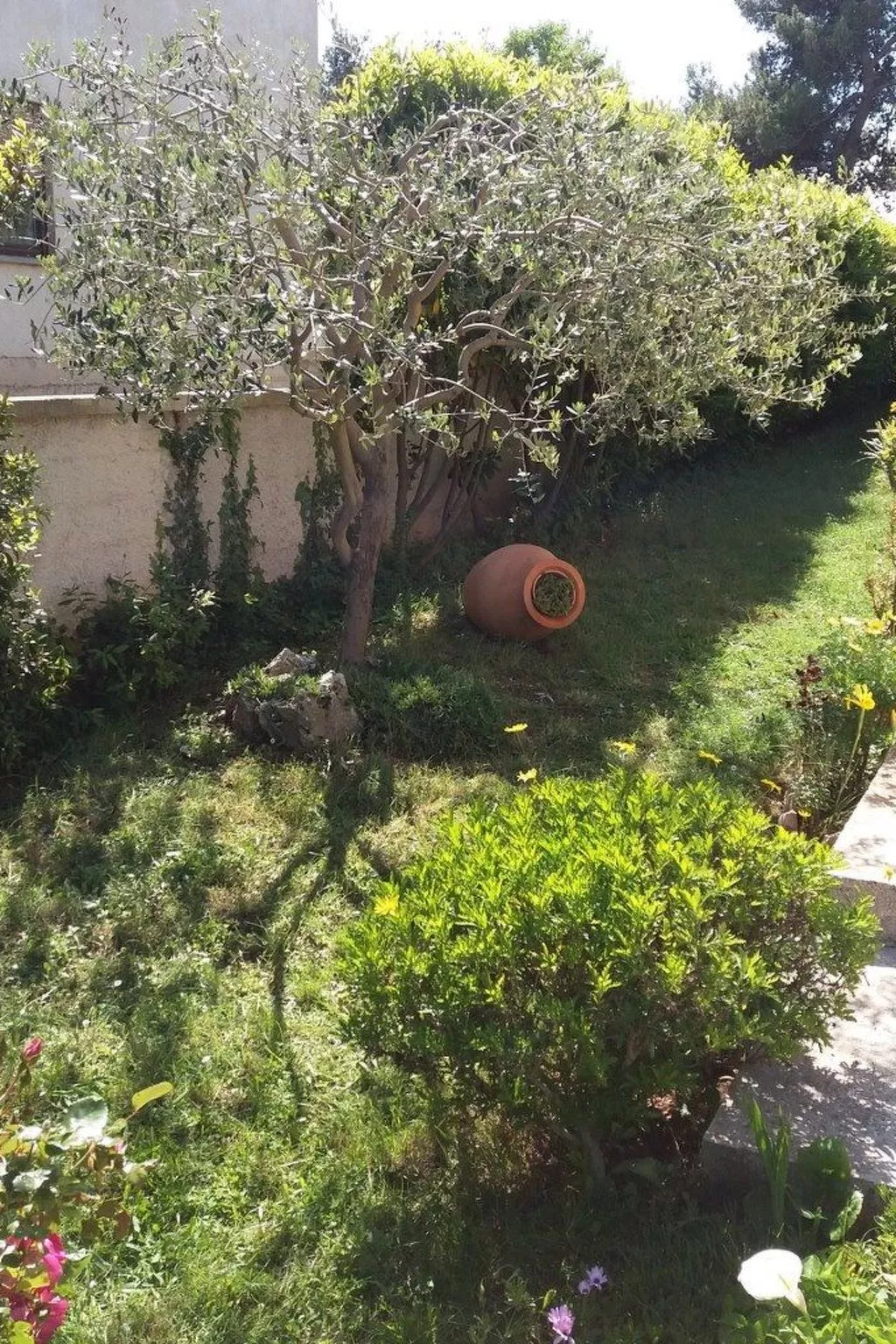 Wohnung mit privatem Garten-Dehors