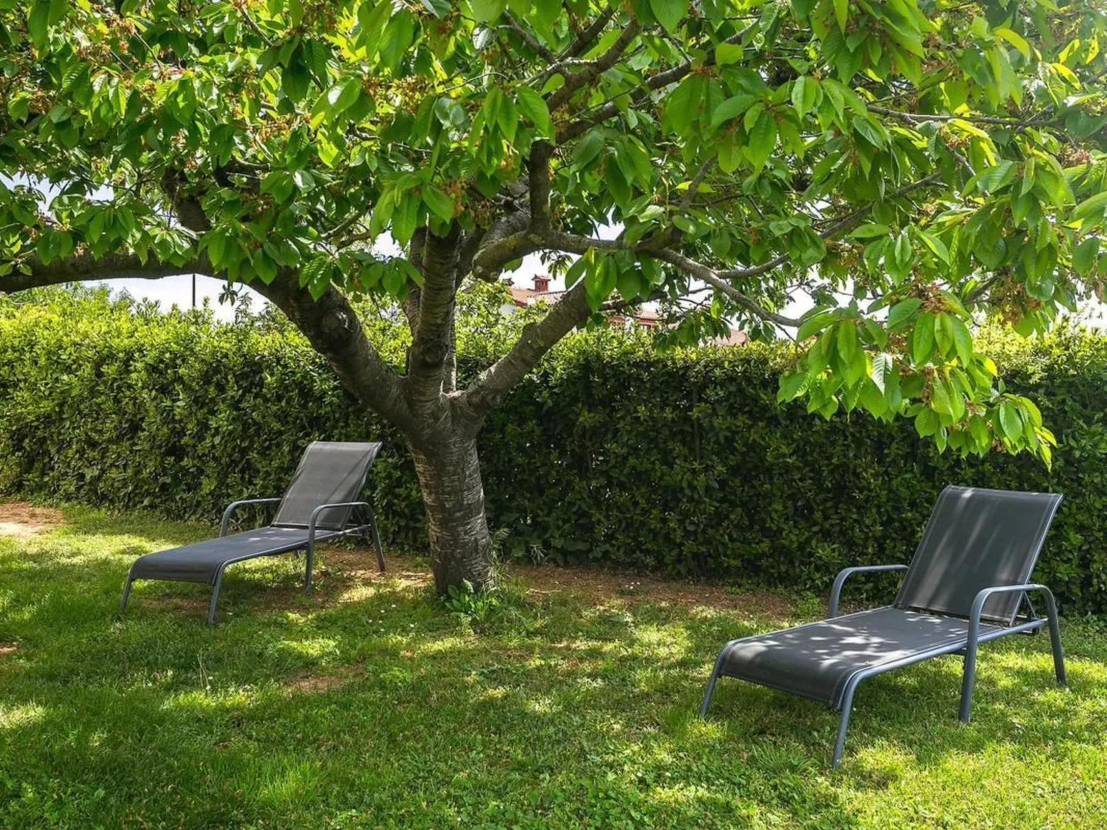 Studio für 2 Personen ca. 23 m&sup2; in Medulin, Istrien (Medulin und Umgebung)-Image-tags.info