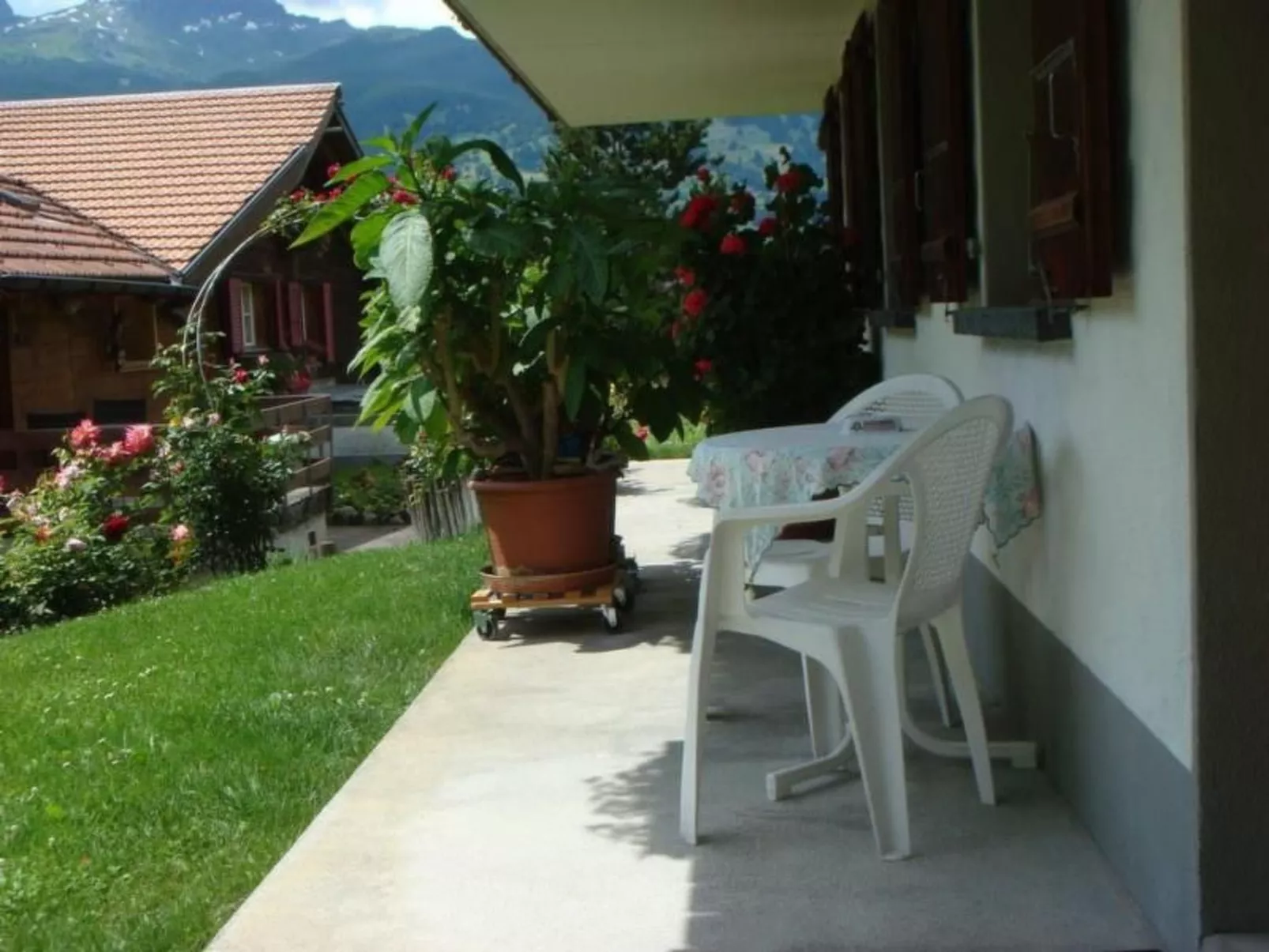 Chessibach Studio-Dehors