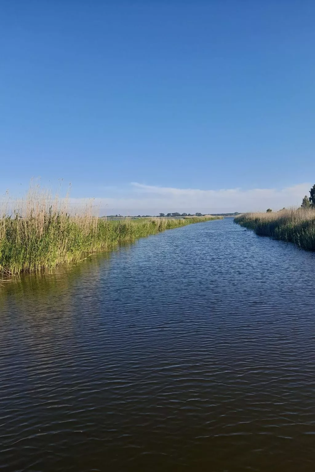 Haus in Karsibór mit Grill, Terrasse und Garten-Image-tags.info