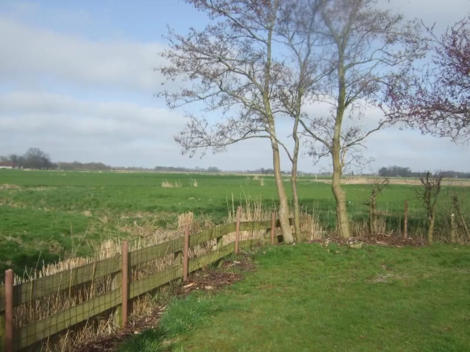 Nurdachhaus Klabautermann mit Terrasse und Garten-Image-tags.info