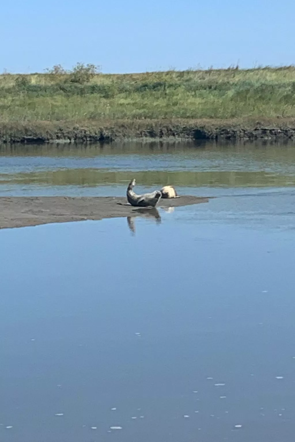 Villa Linus-Image-tags.info